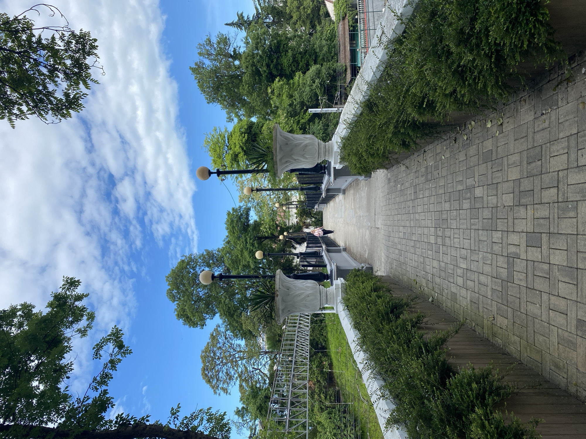 Morning scenes captured across Sochi: pathways, cats, trains