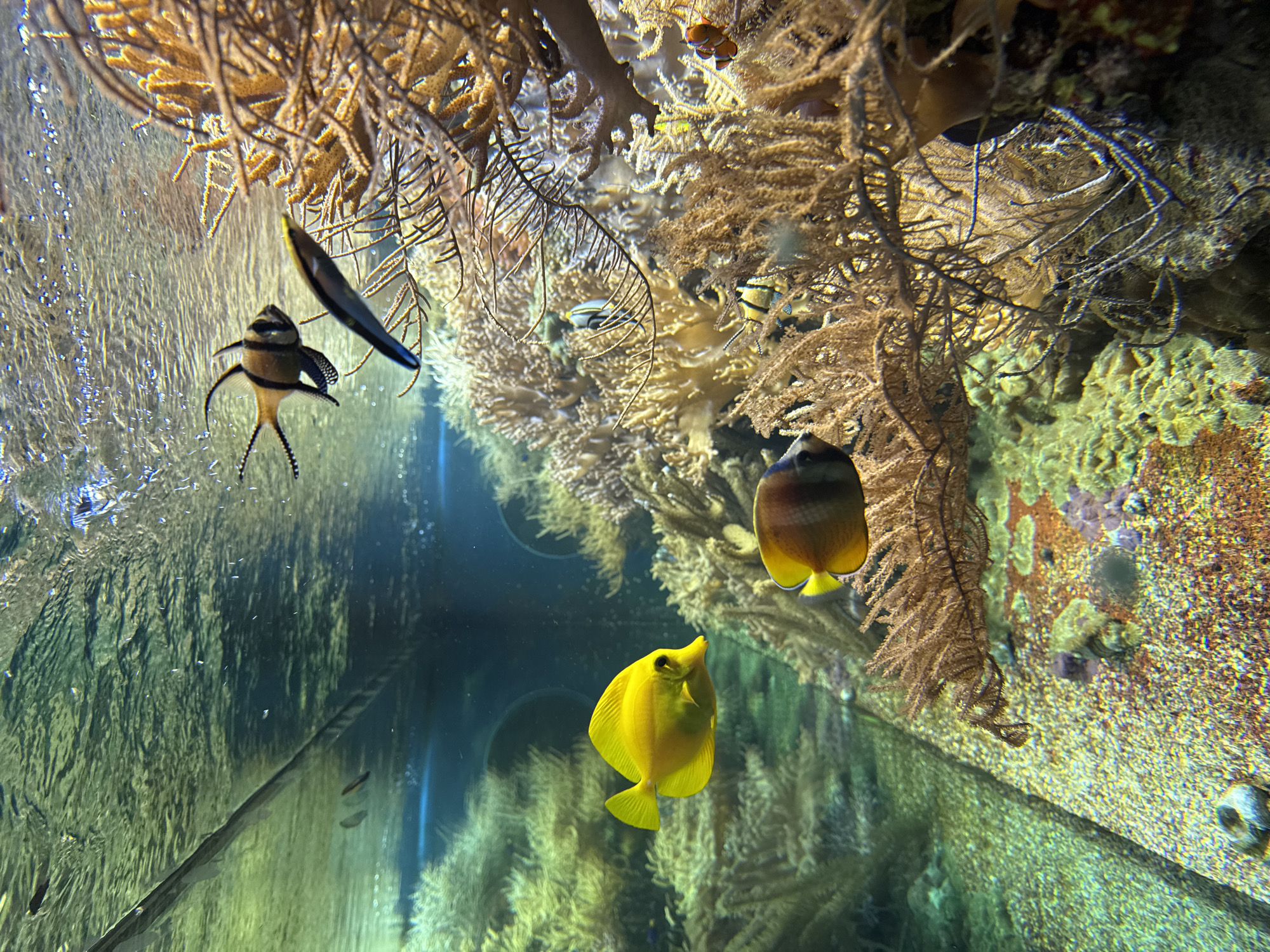 Zoo visitors document diverse animal exhibits at Tiergarten Ulm