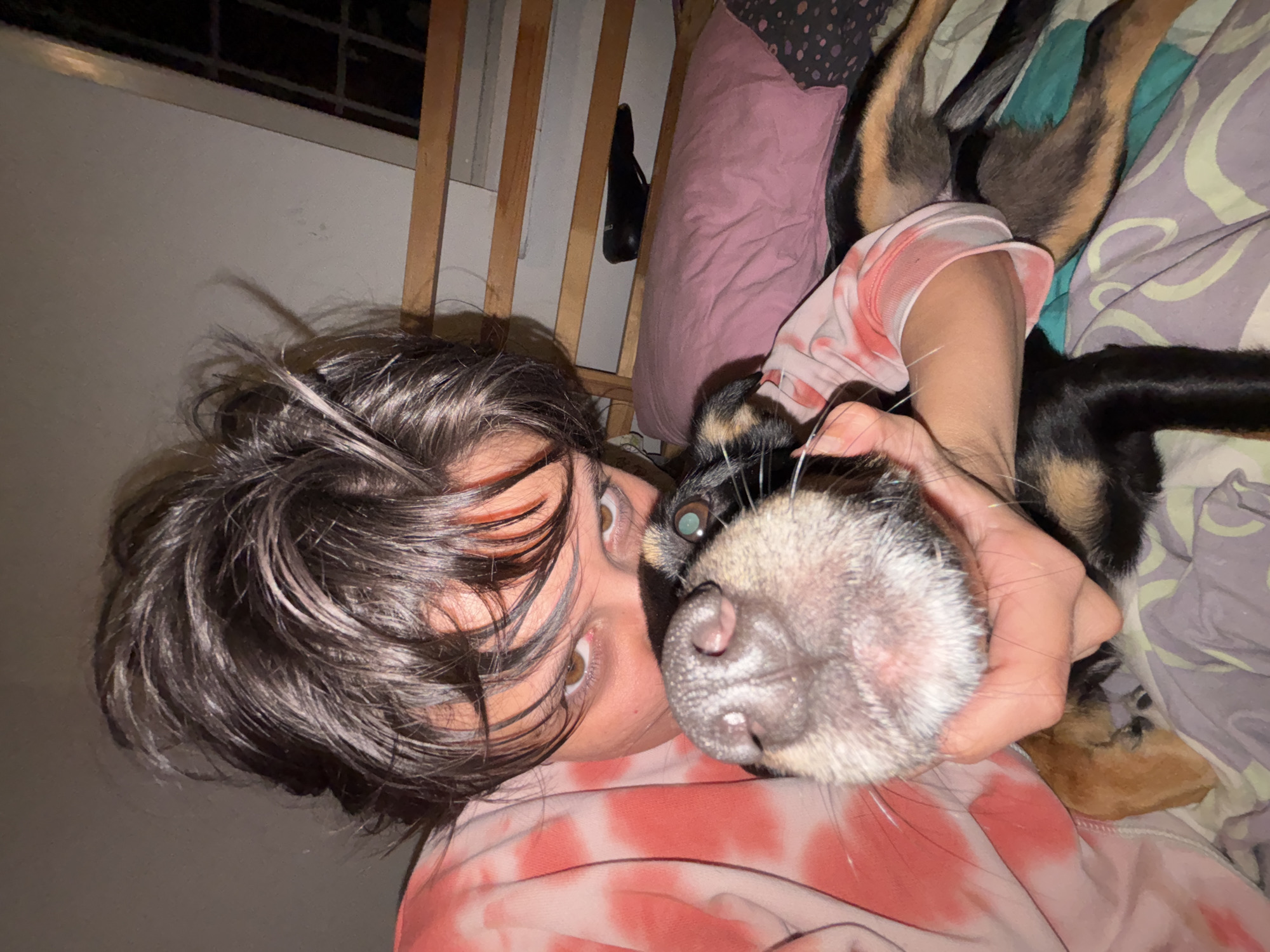 Person and dog share quiet bedroom moments in Sofia