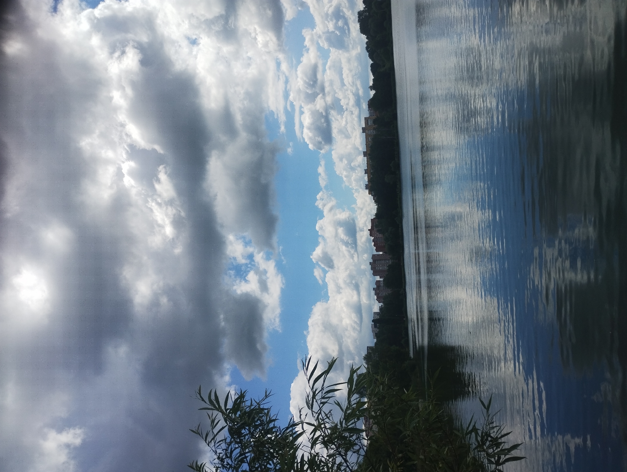 Lakeside park in full use on a summer morning