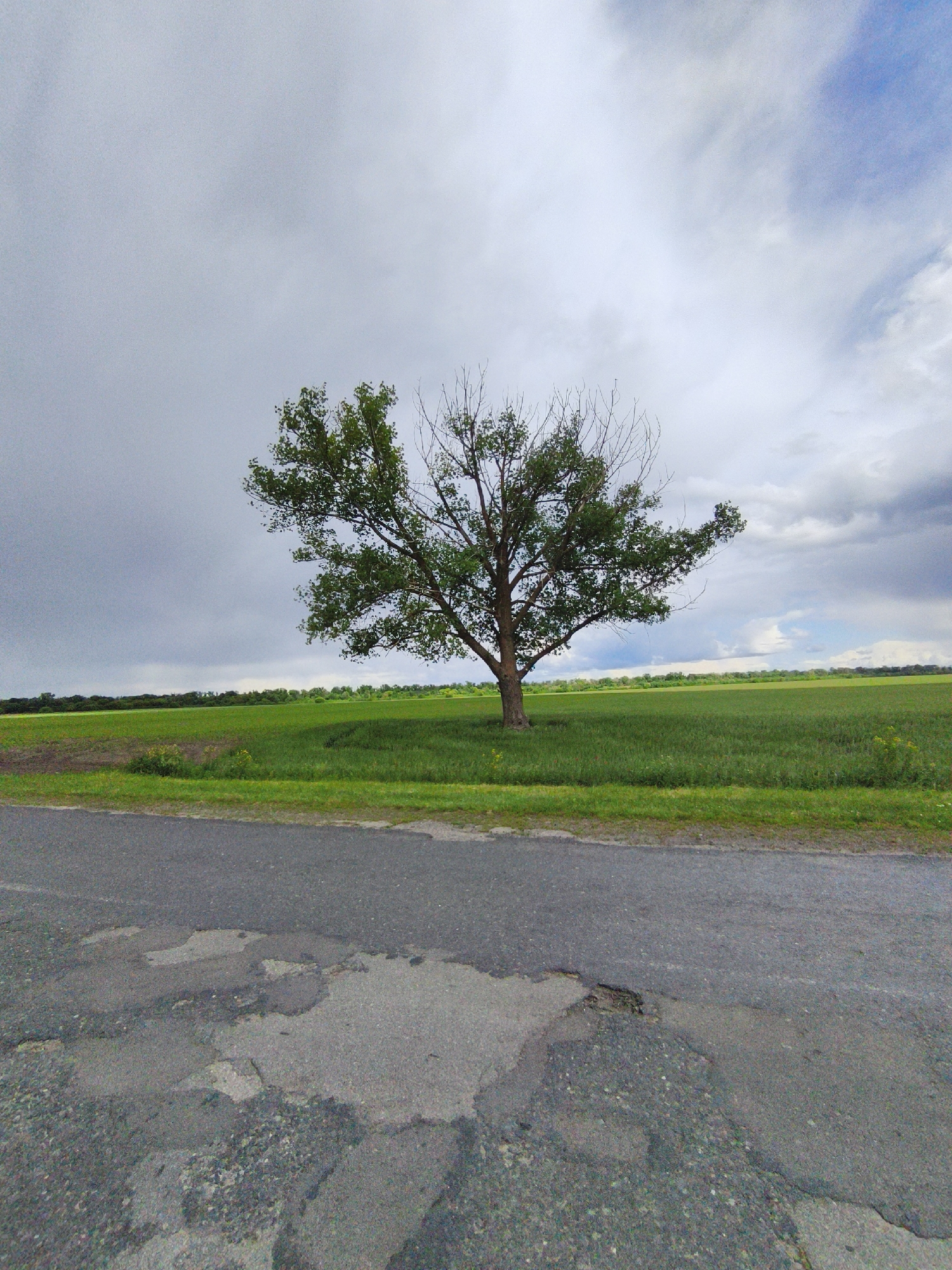 Rural road conditions and countryside documented in Hoholeve, Ukraine