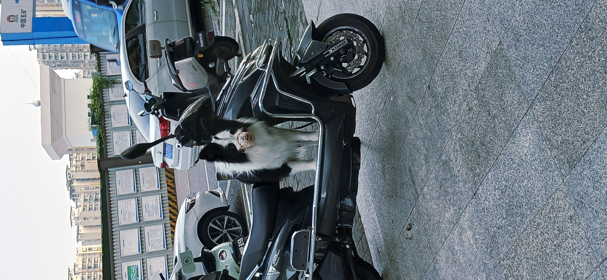 Traffic incident involving motorcycles observed in Jiulongpo District