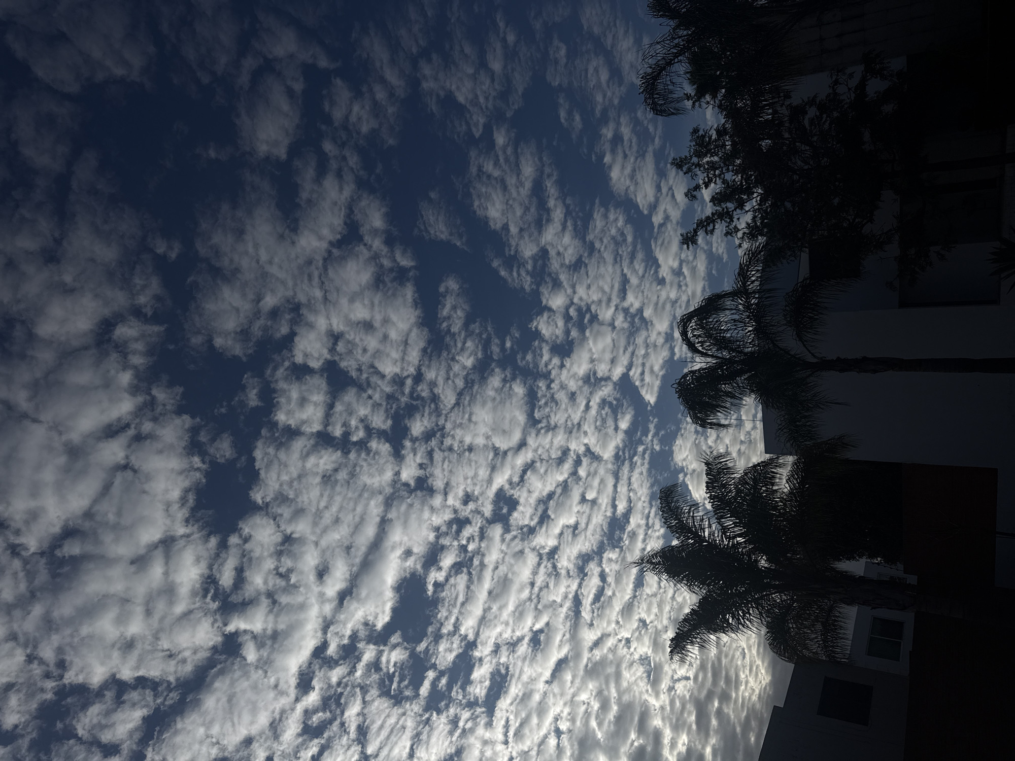 Altocumulus clouds observed over Puebla region municipalities
