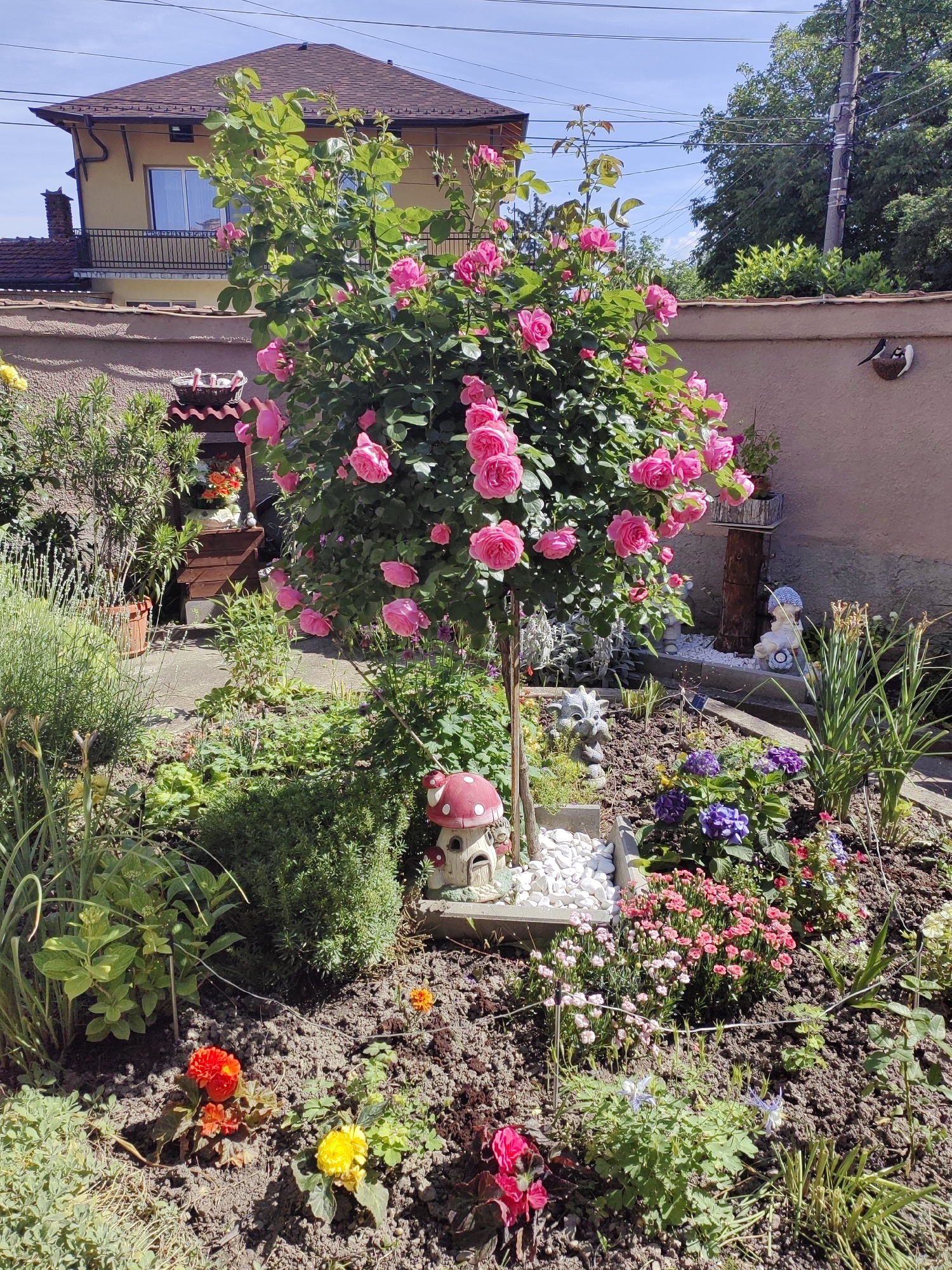 Morning garden tour documented in Ravno pole, Bulgaria