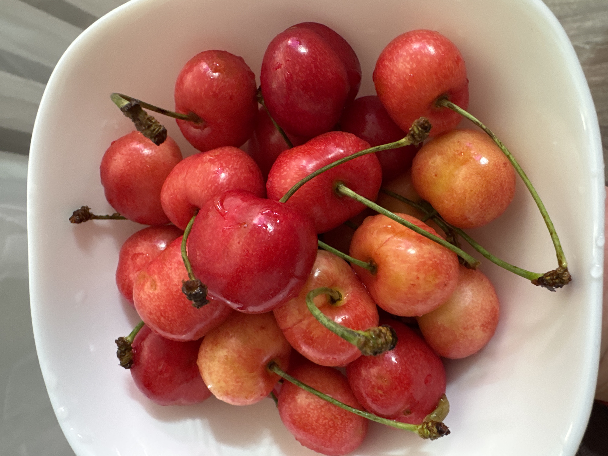 Fresh cherries and jasmine in bloom, summer in rural Russia