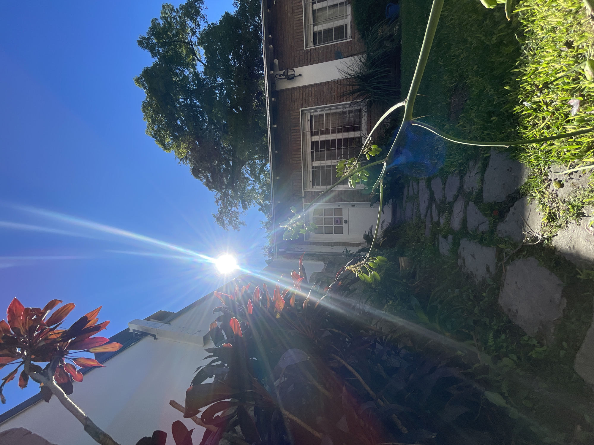 Casual afternoon documented in La Lucila residential area
