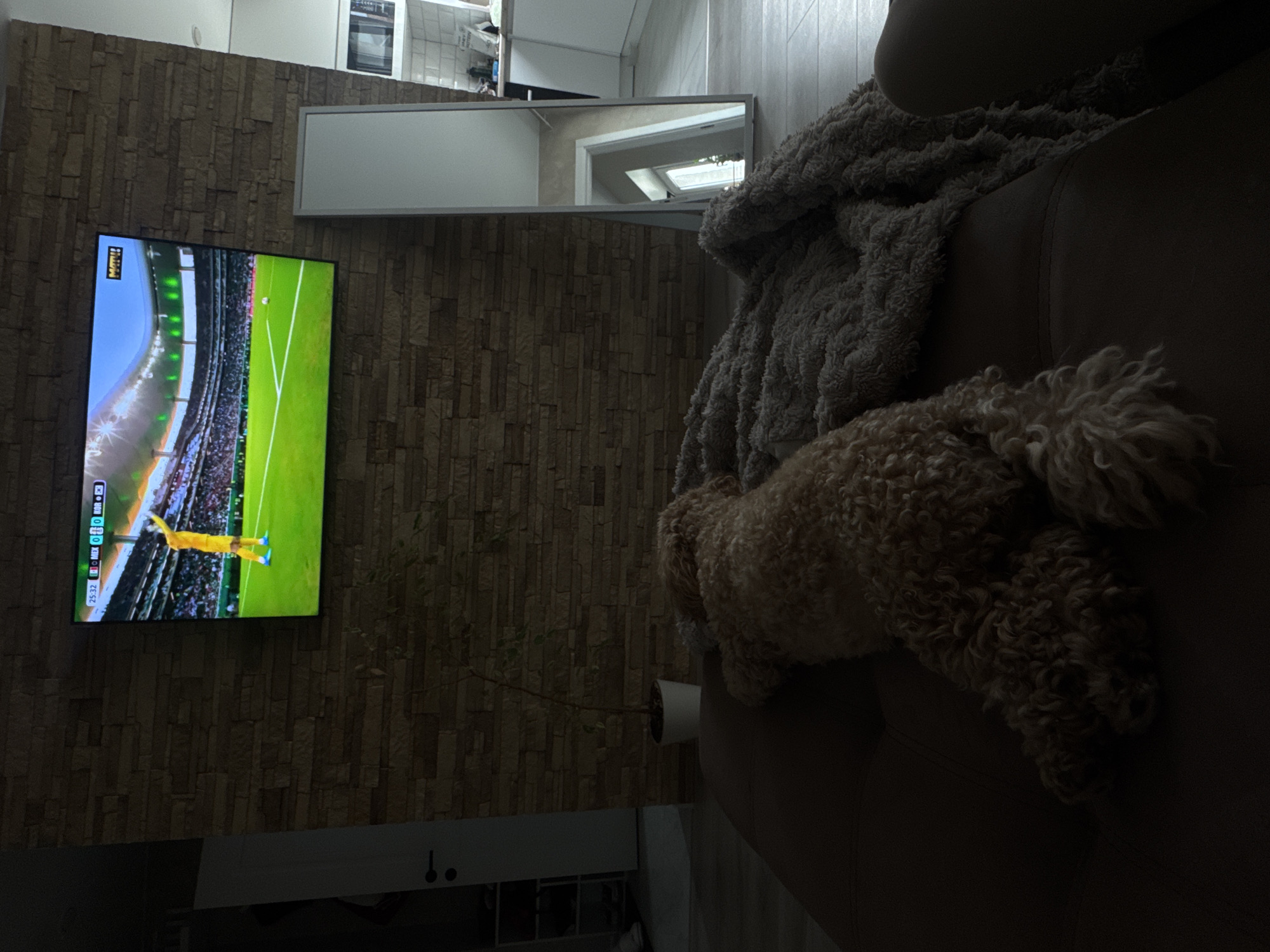 Couch day in Saratov: soccer, Netflix, and a sleepy dog