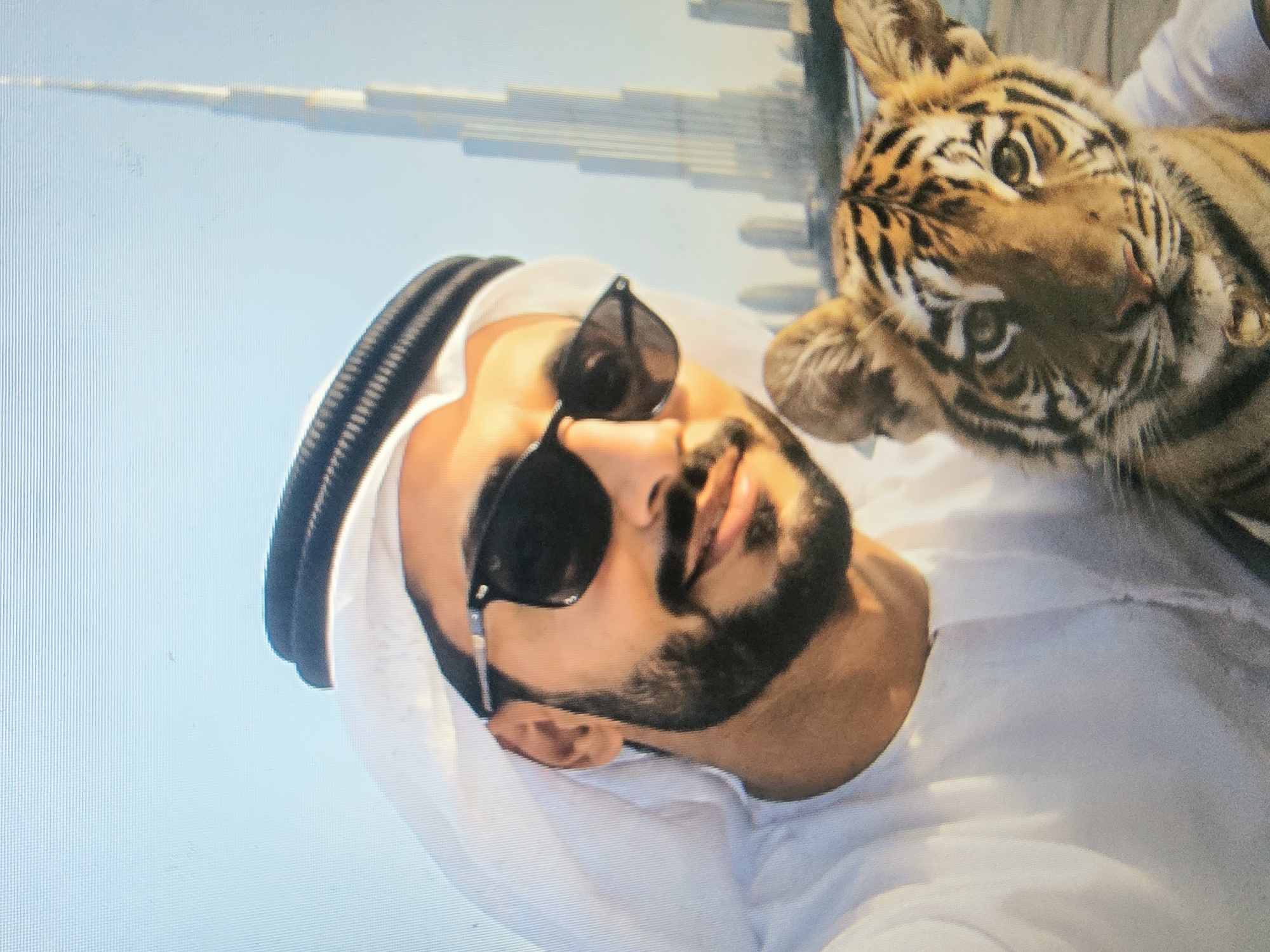 Up close with a tiger cub at a wildlife encounter