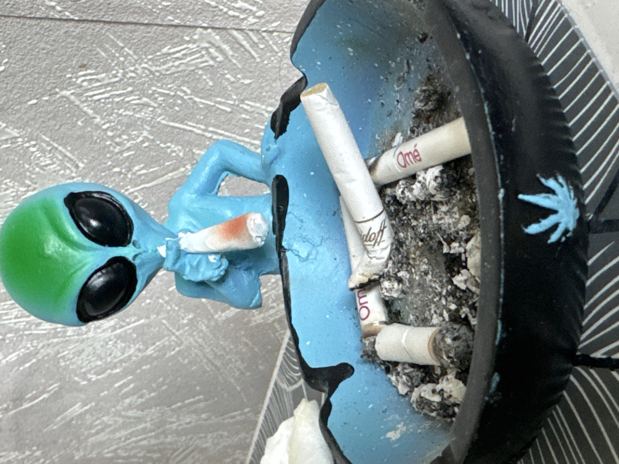 Quirky morning snapshots in Sofia featuring an alien ashtray and everyday objects