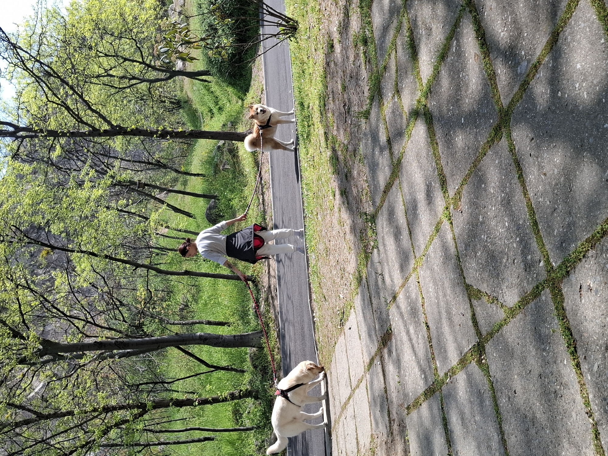 Morning park walk documented in Plovdiv, Bulgaria