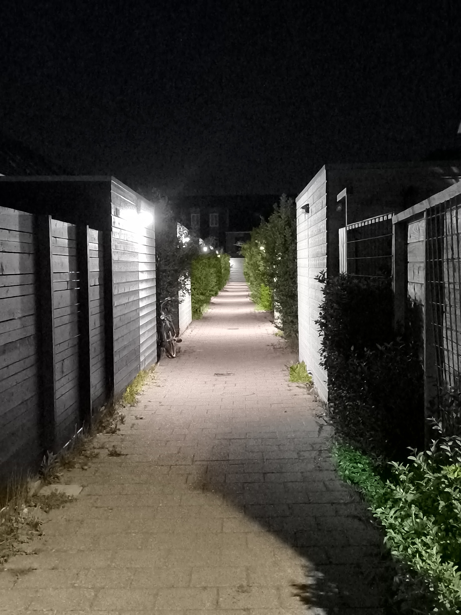 Nighttime alleyway observed in Alkmaar, Netherlands