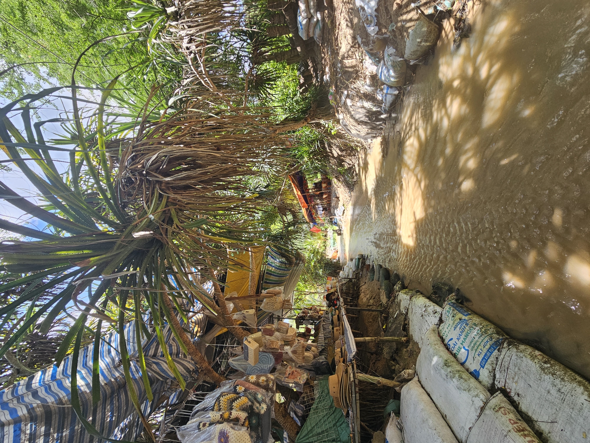 Exploring Mũi Né's rocky coast and muddy waterways