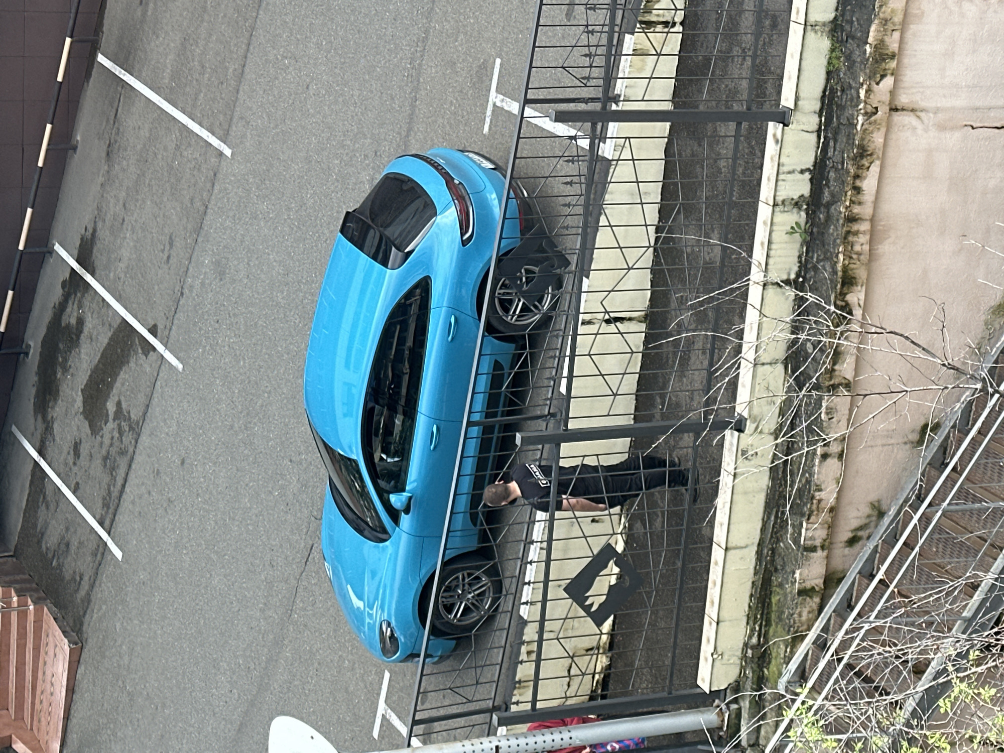 Everyday moments captured in Sochi: dog, car, indoor scenes