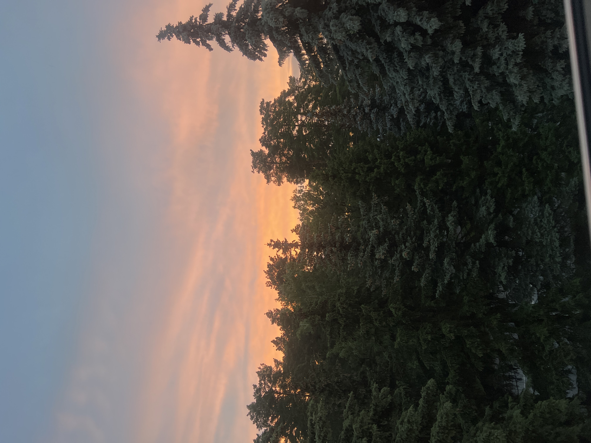 Sunset over Zarechny's evergreen skyline, watched from the neighborhood