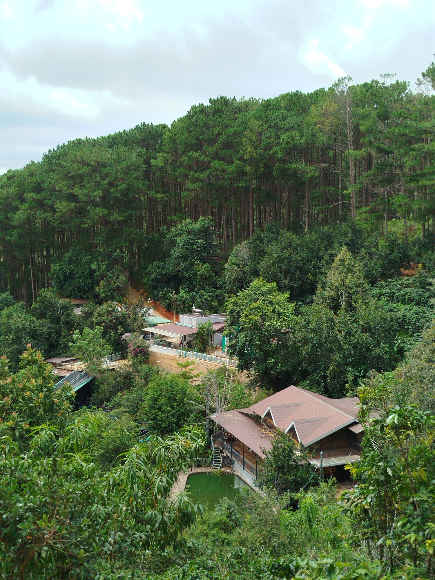 Wandering Da Lat's hilly streets, gardens, and pine forests