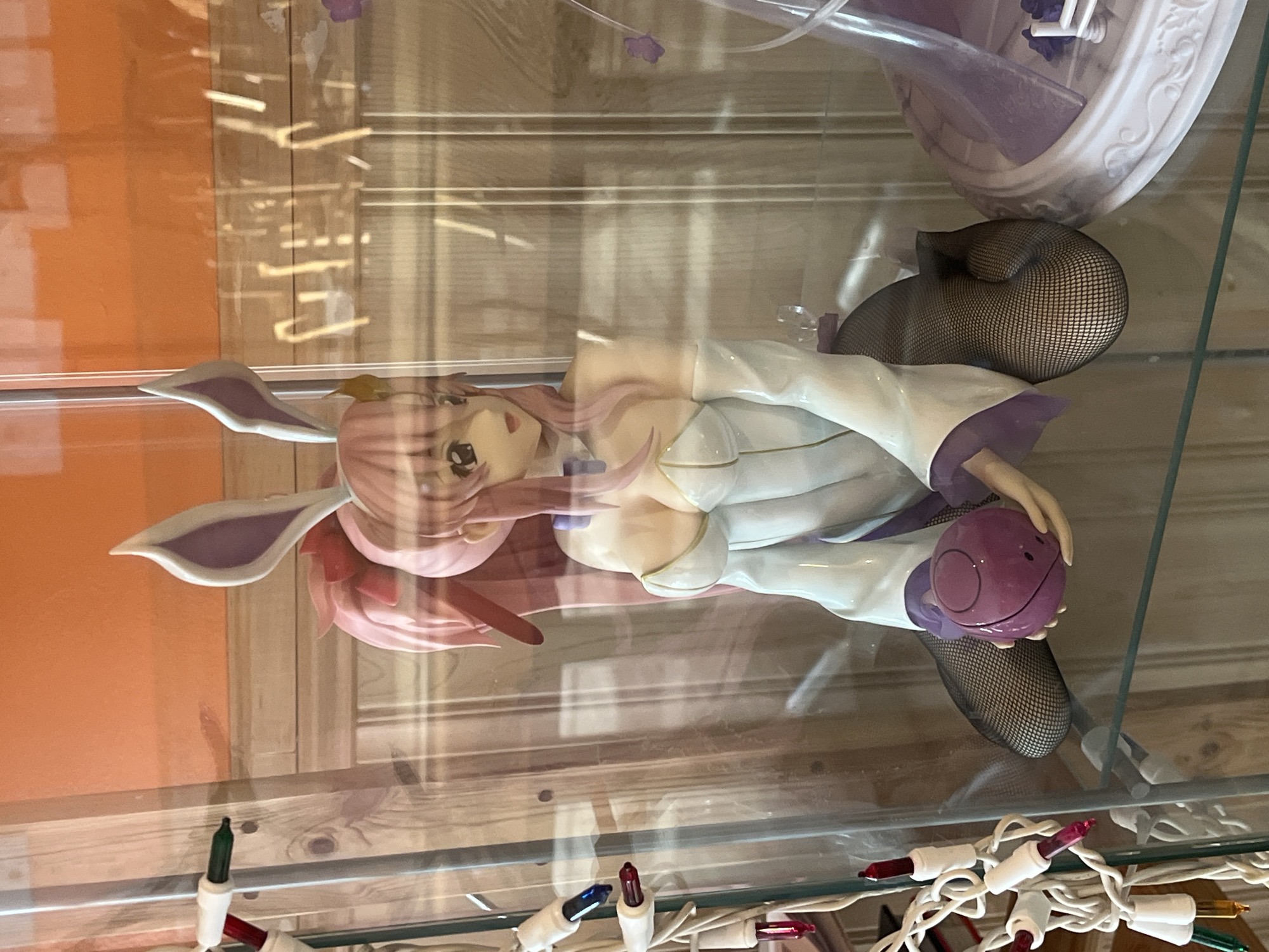 Anime figurine display documented in Aurora glass case
