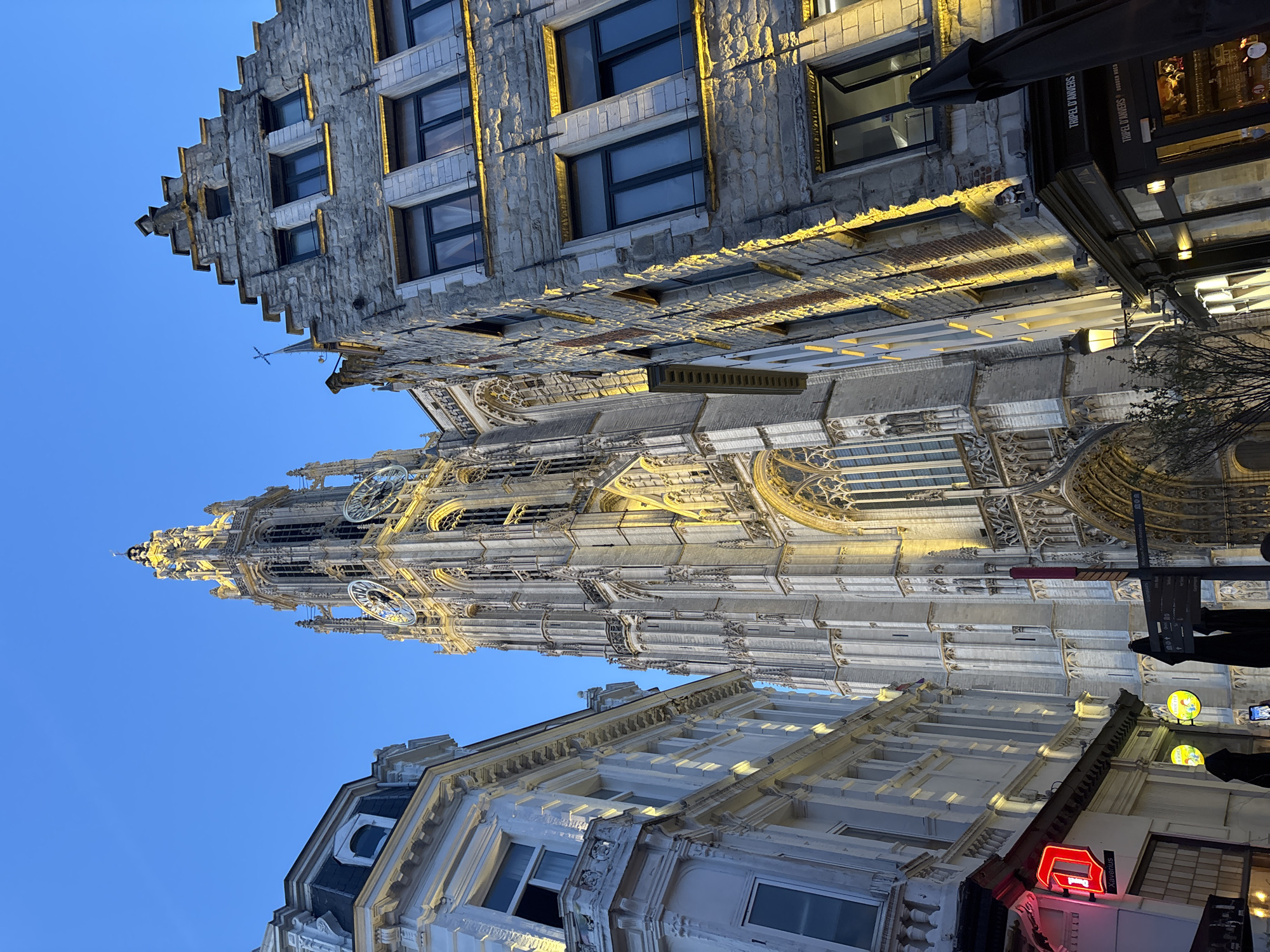 Cathedral spire illuminated against Antwerp night sky