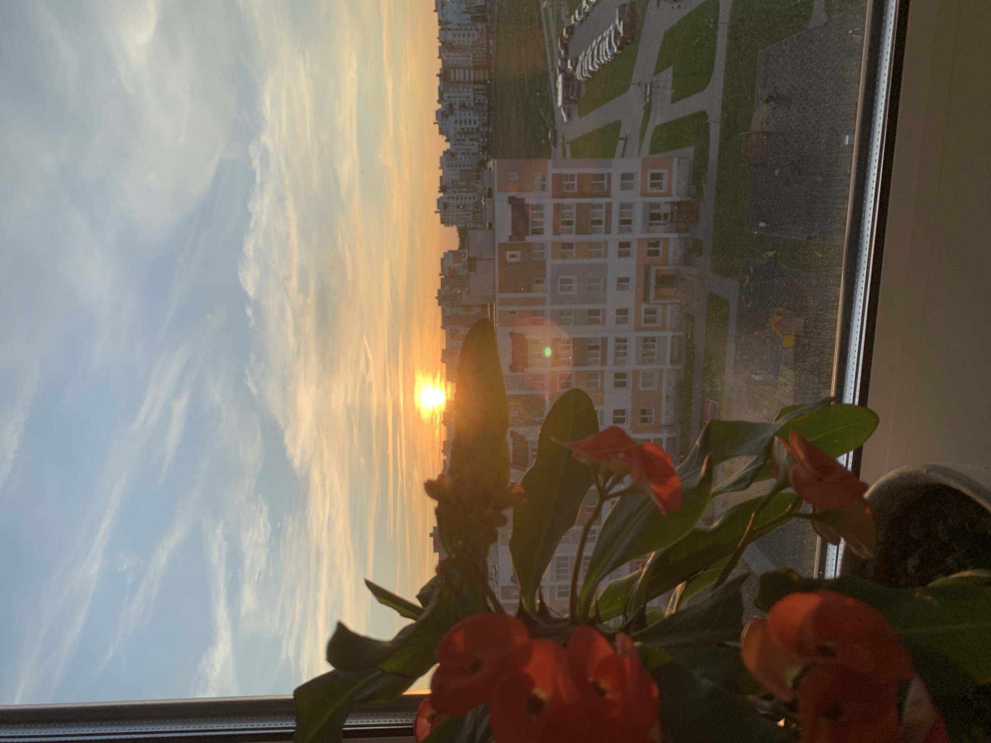 Lida sunset through a window, flowers in the foreground