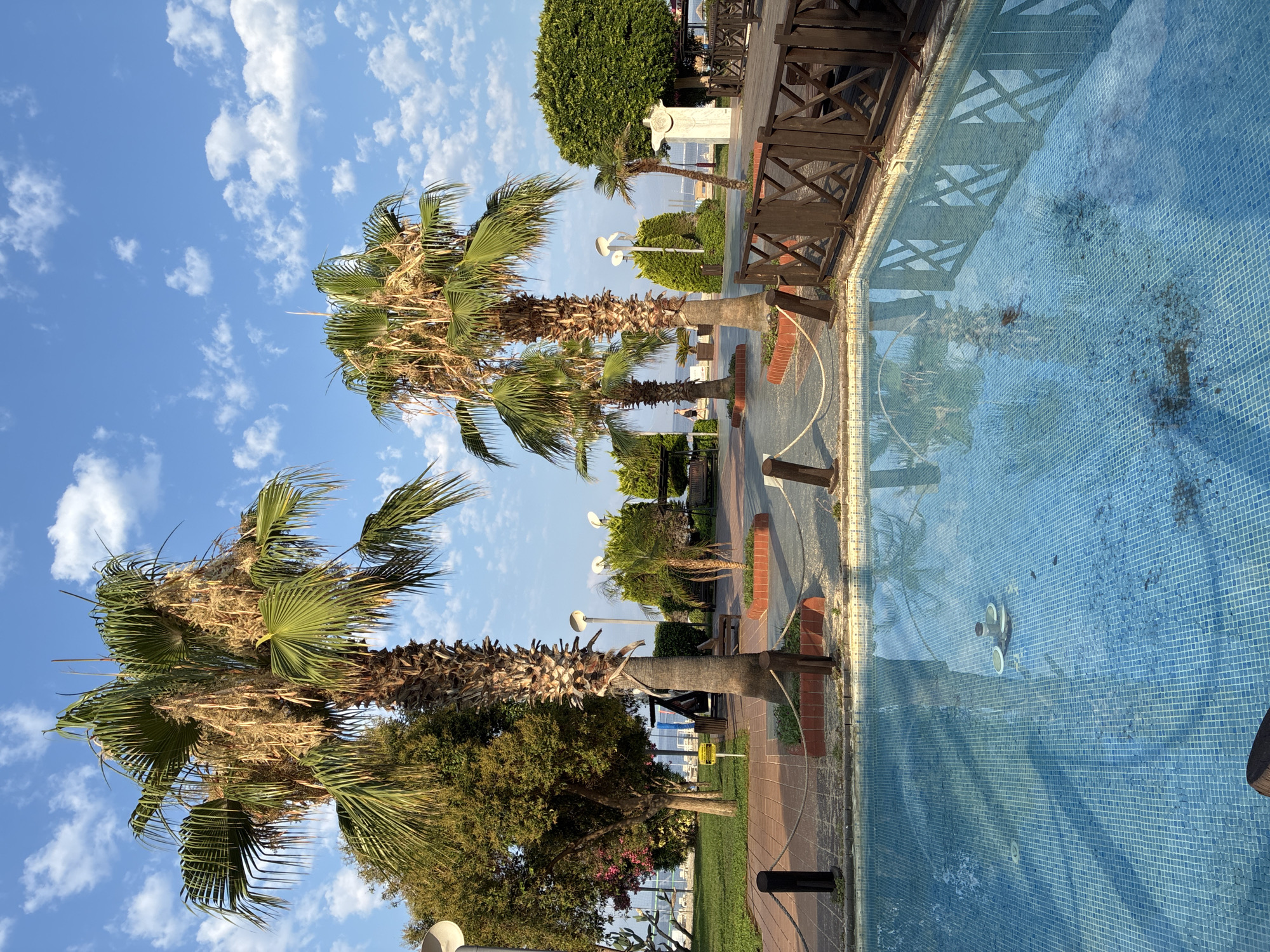 Poolside greenery and a sleeping cat in Alanya
