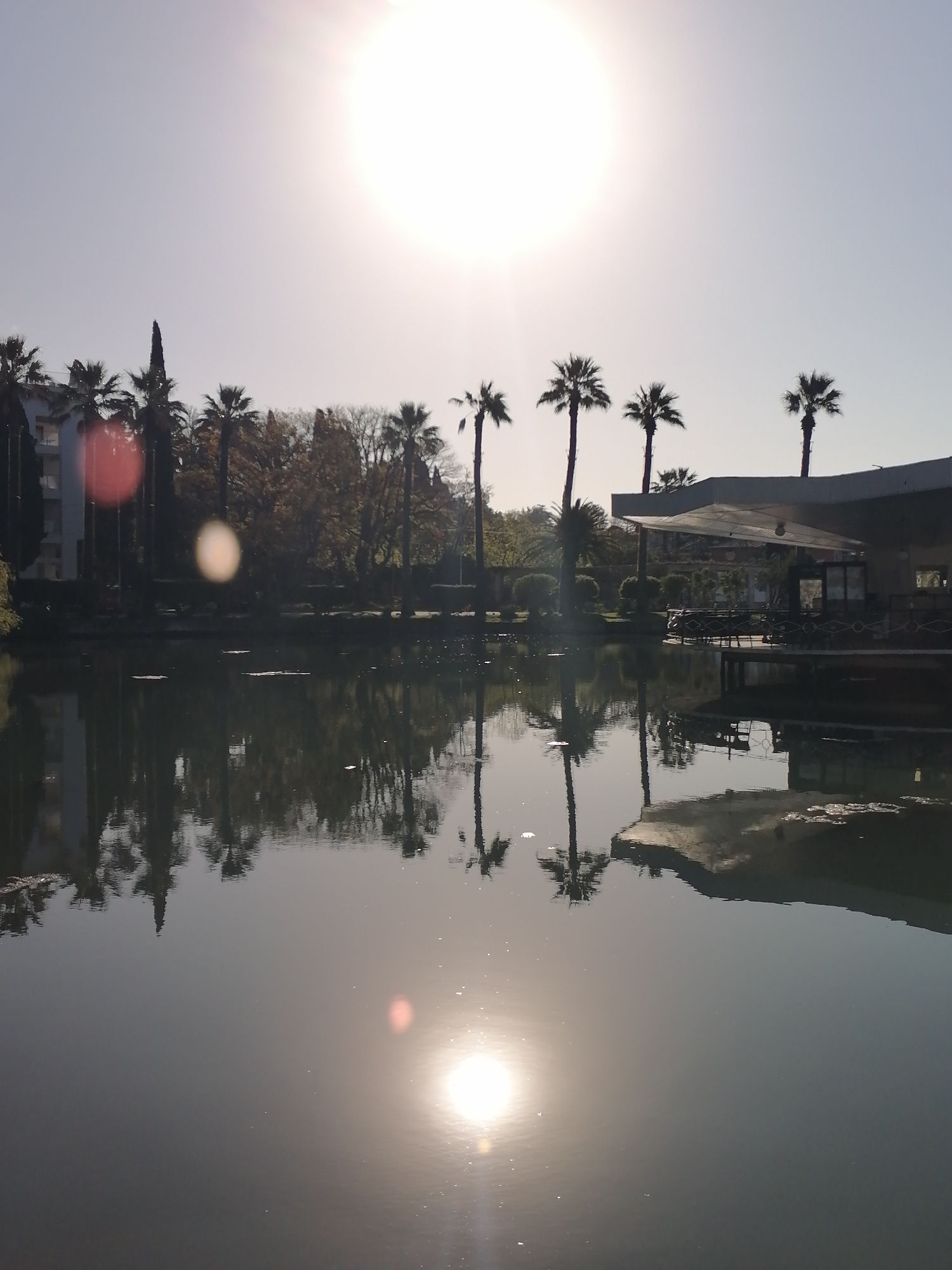 Morning stroll through New Athos botanical gardens captured