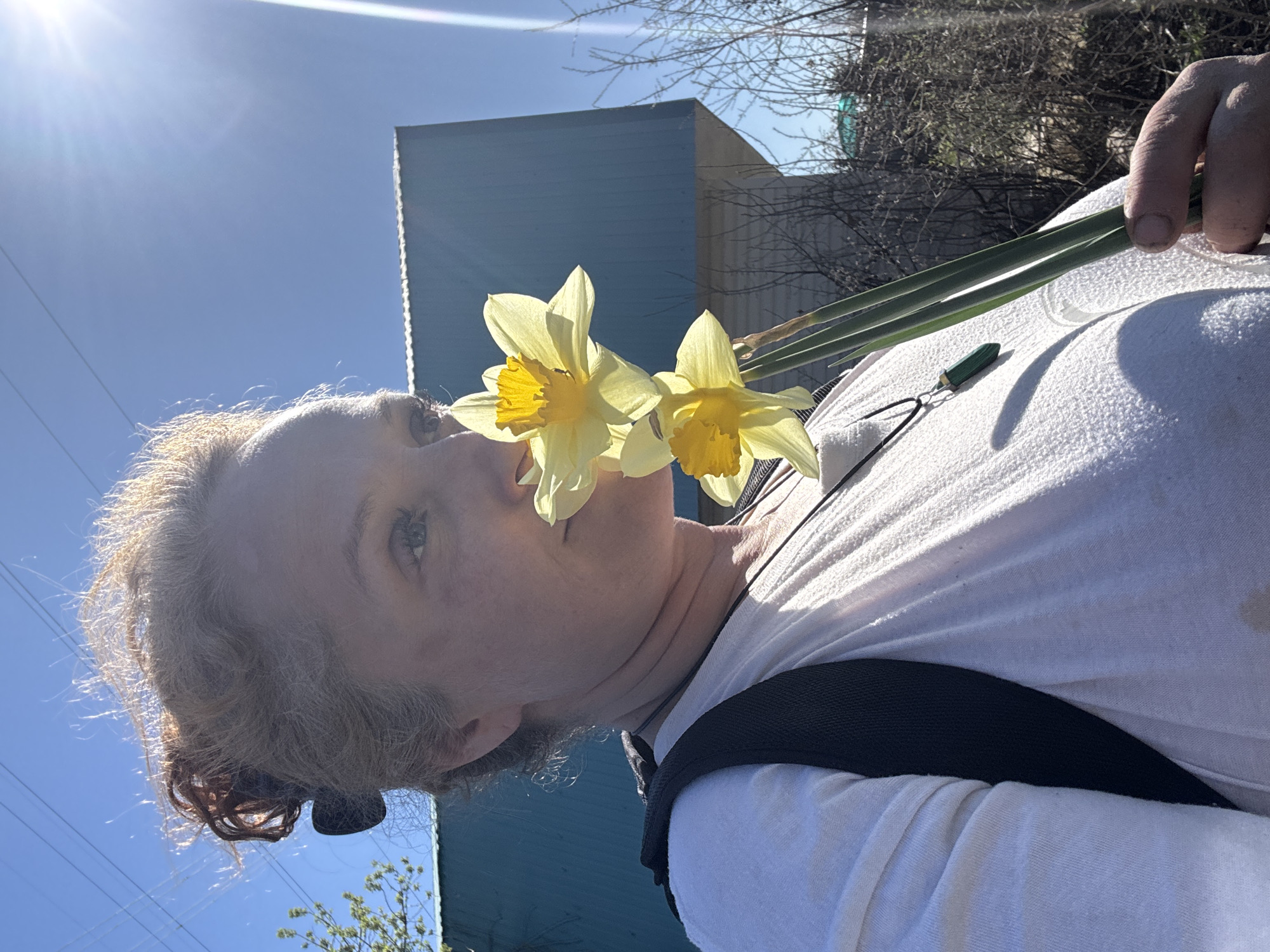Woman documents spring day with dog and daffodils in Chaikovsky
