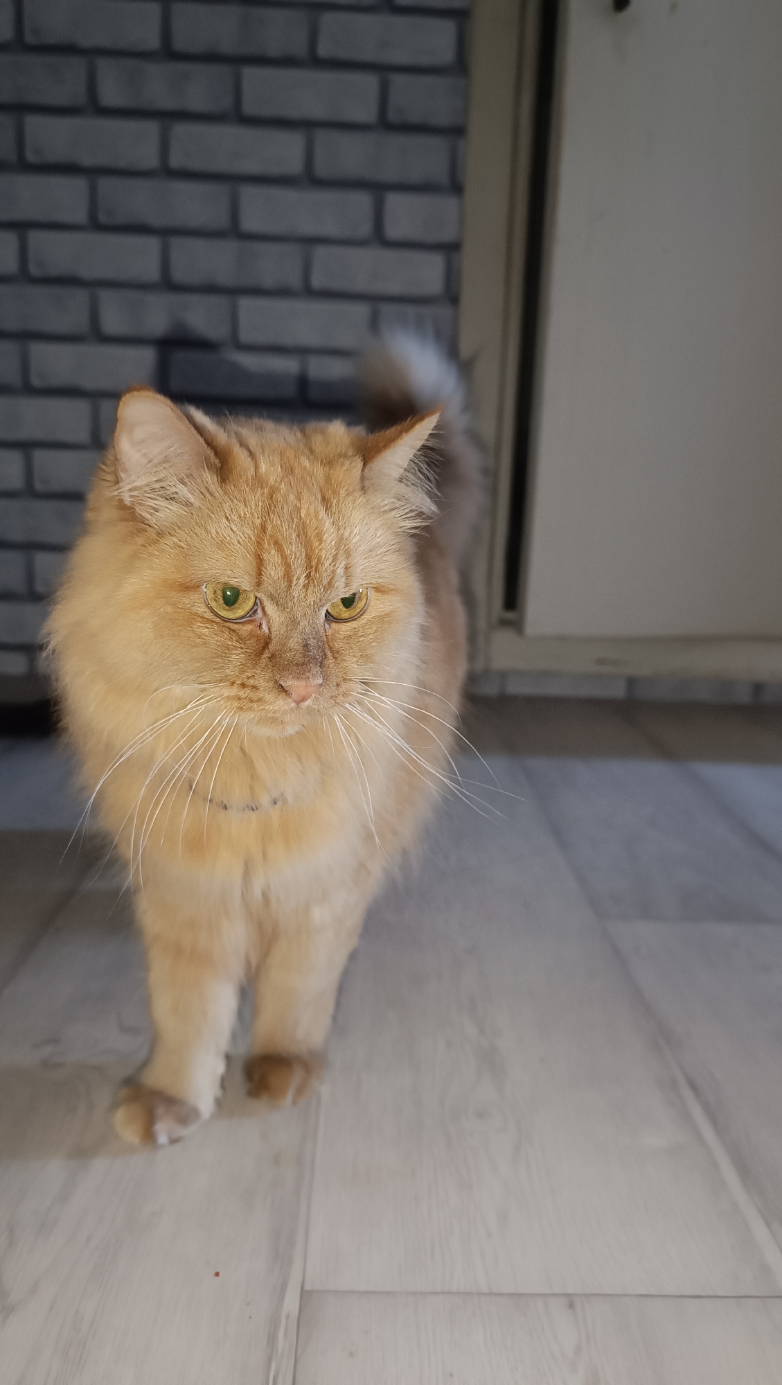 Event