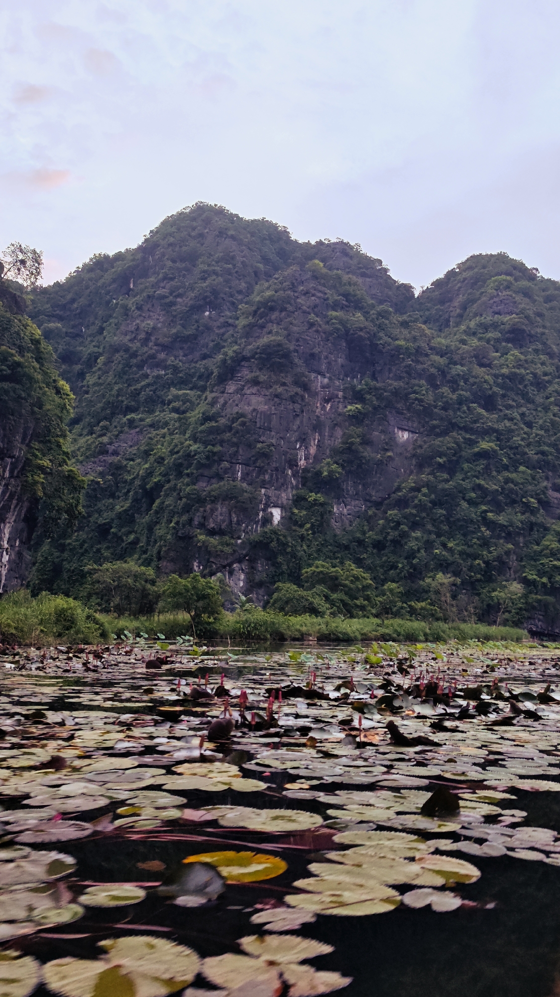 Boat ride through Tam Cốc's lotus-covered karst waterways