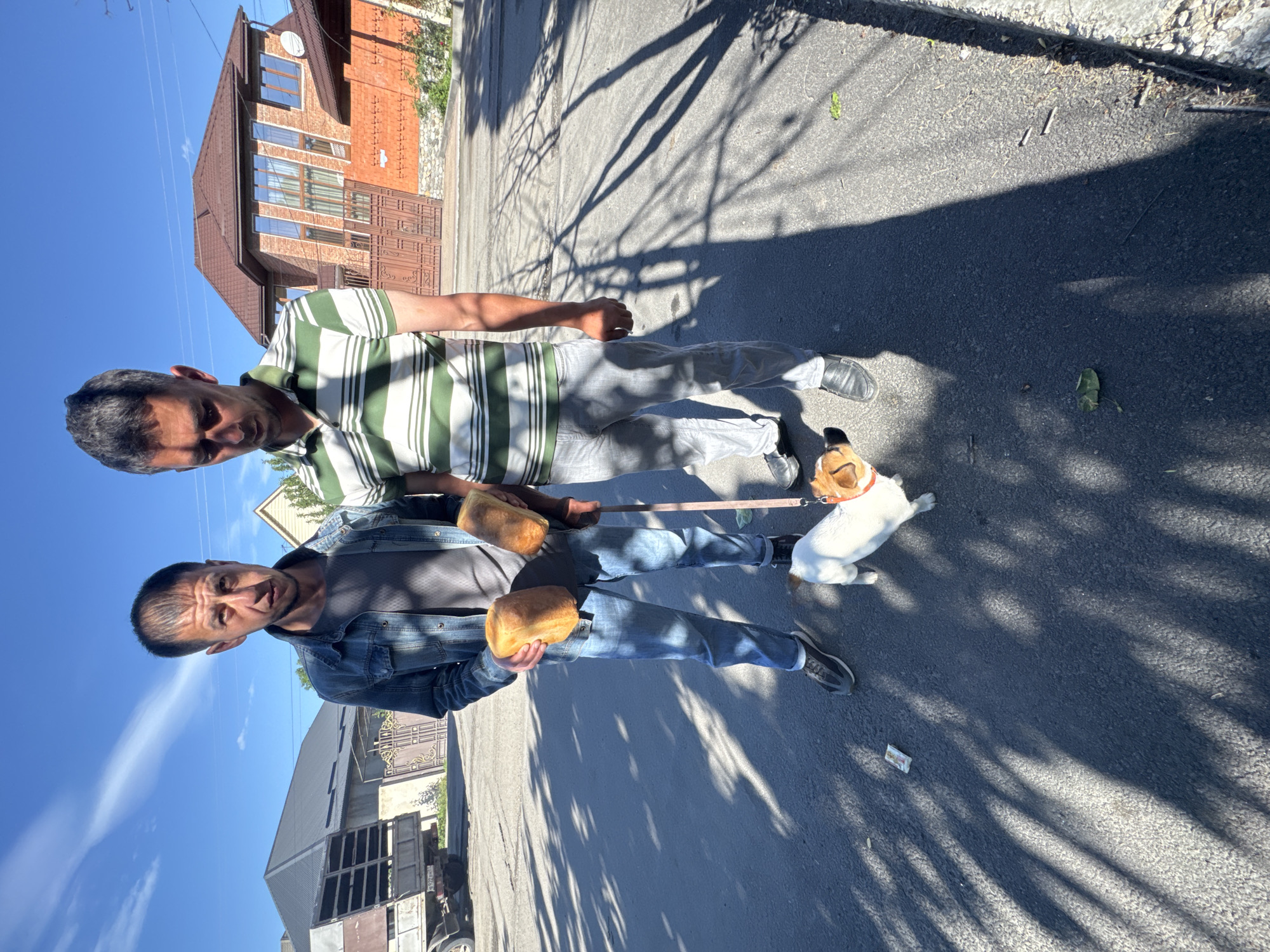 Two men struggle with reluctant Jack Russell during early morning walk