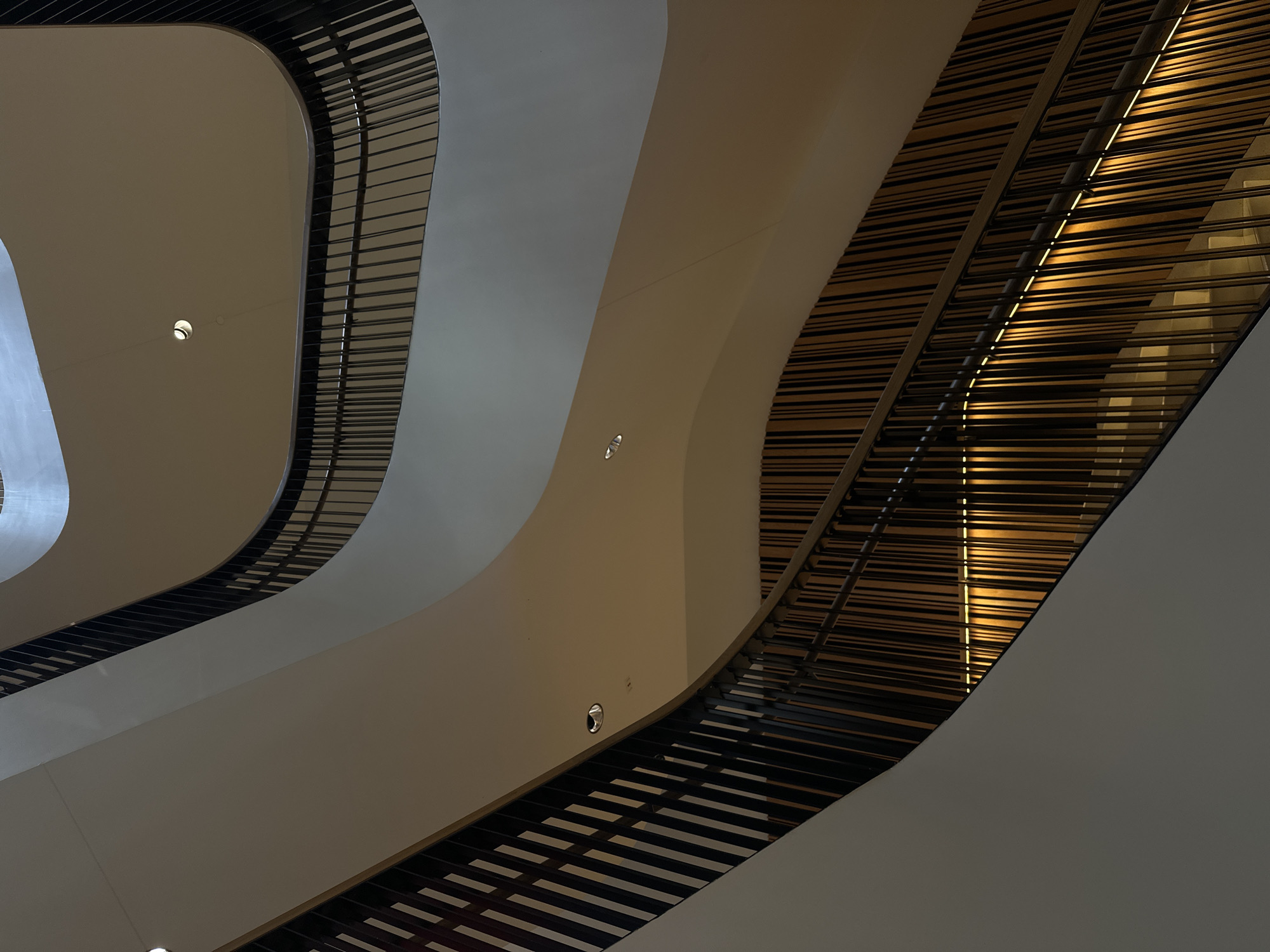 Modern curved architecture documented in Washington D.C.