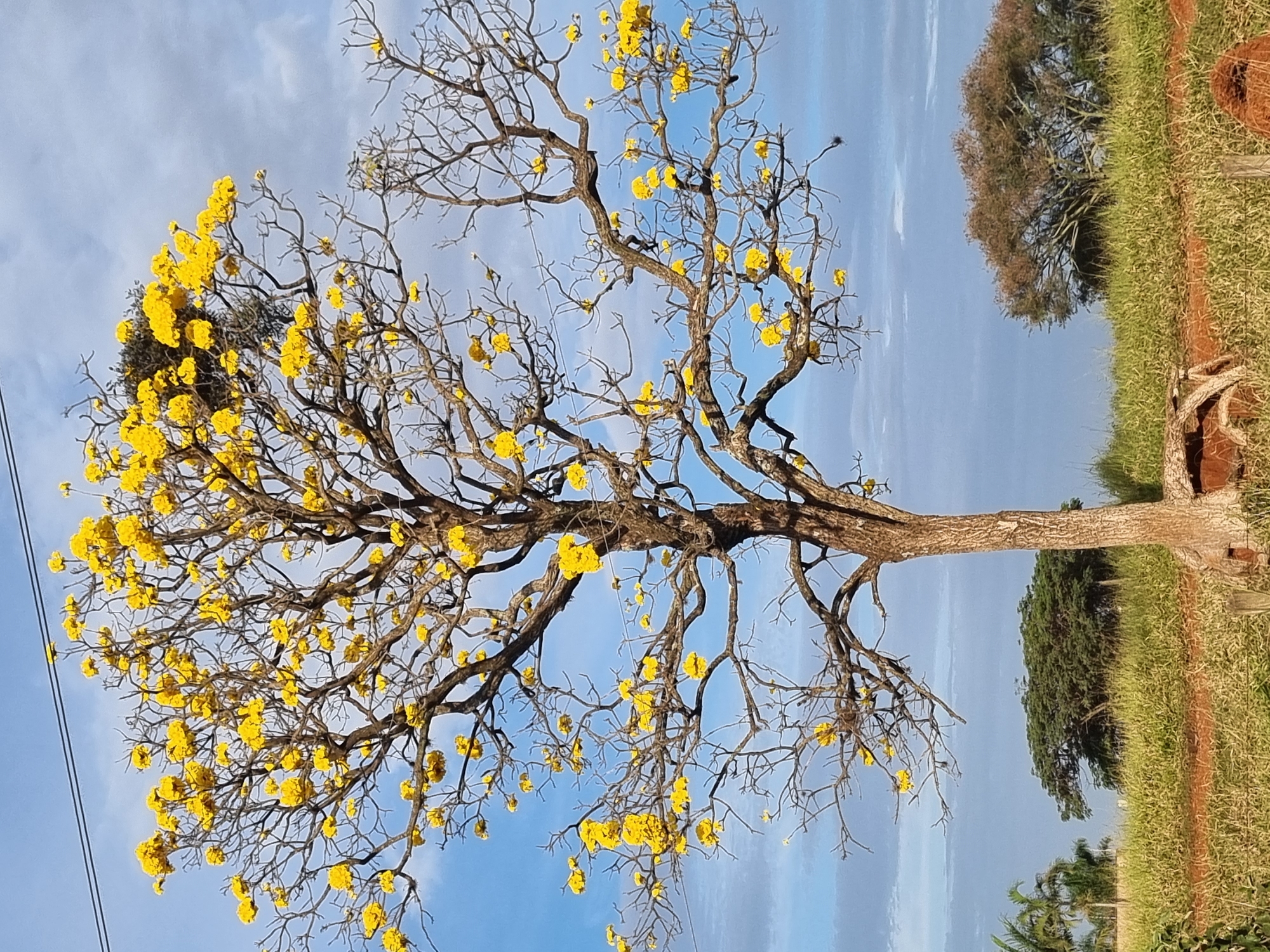 Laranjal Paulista, Brazil