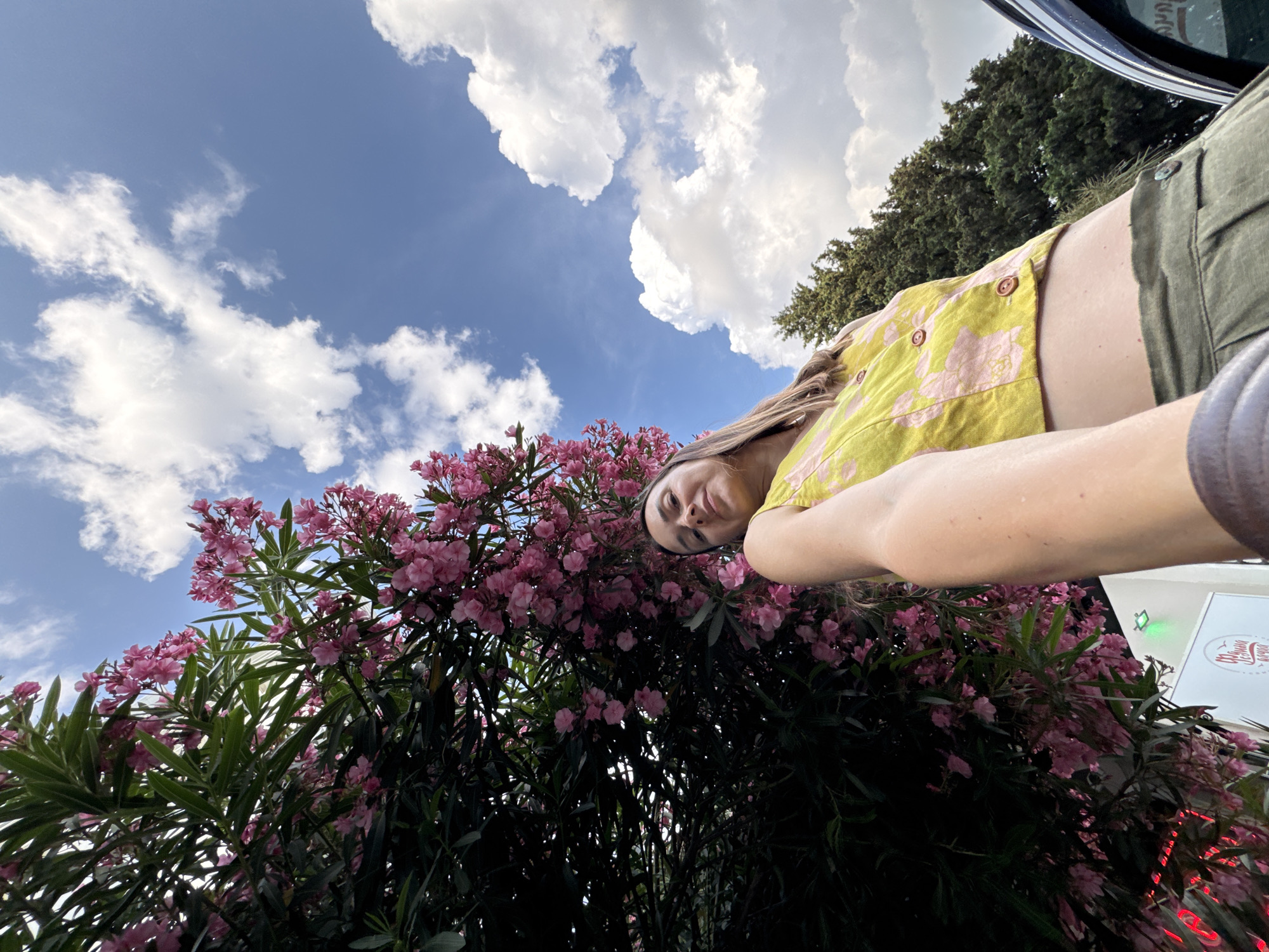 Afternoon in Sochi: oleanders, architecture, and a playground