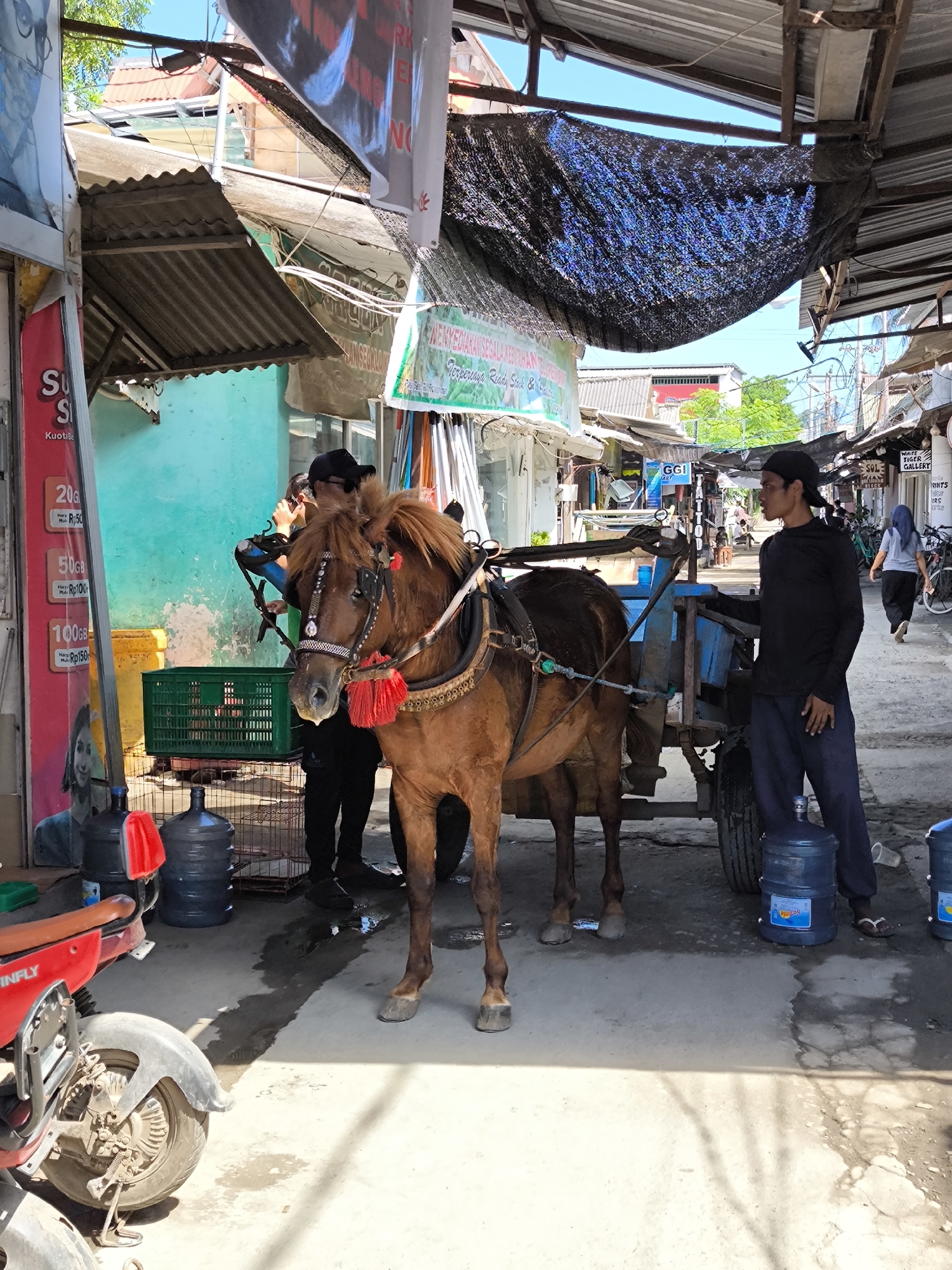 Horse-drawn cart spotted on narrow Indonesian street