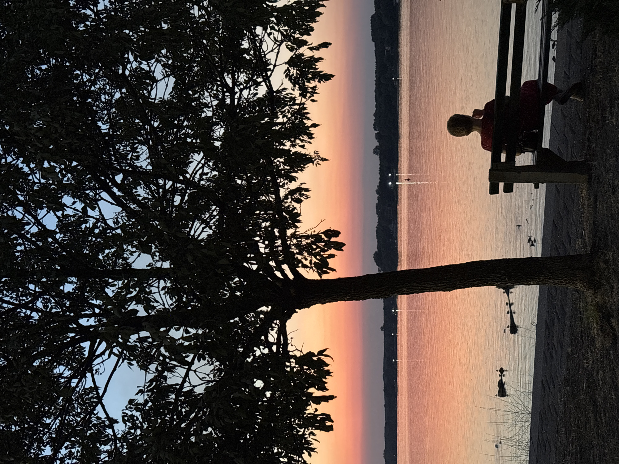 Quiet sunset moment on the Sava River, Belgrade