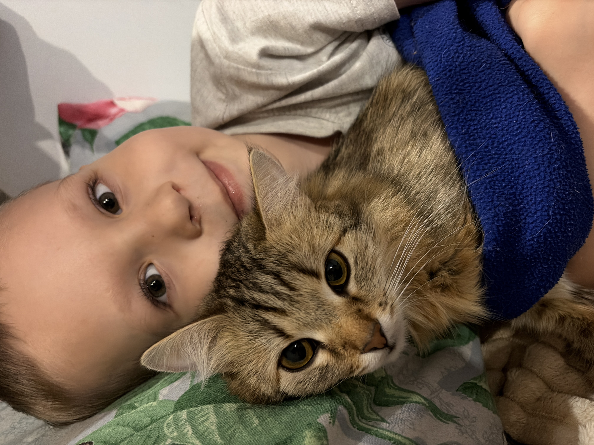 Witness captures quiet domestic moments with child, adult, pets