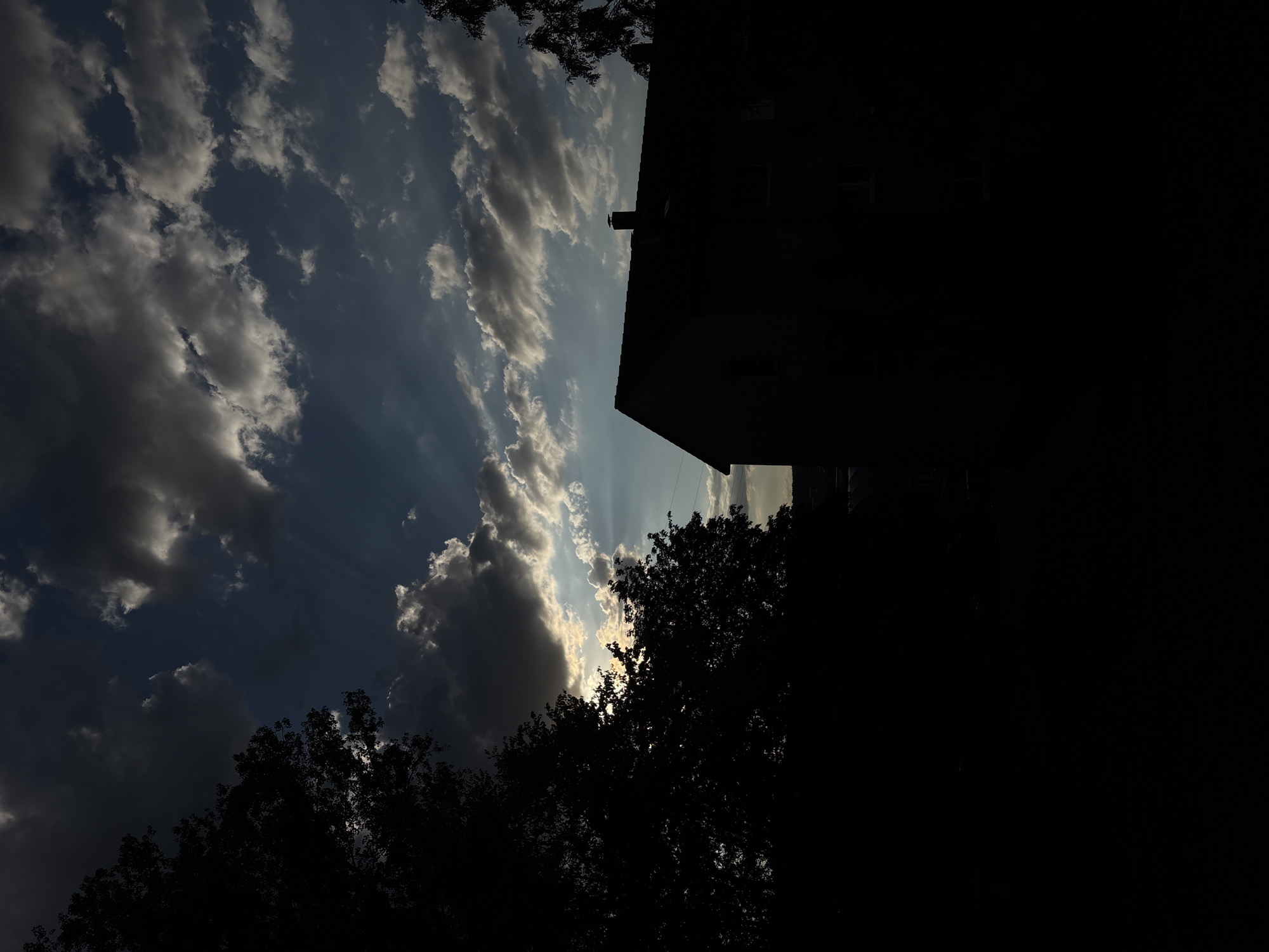 Evening sky watch from a residential spot, sneakers and orchids on the side