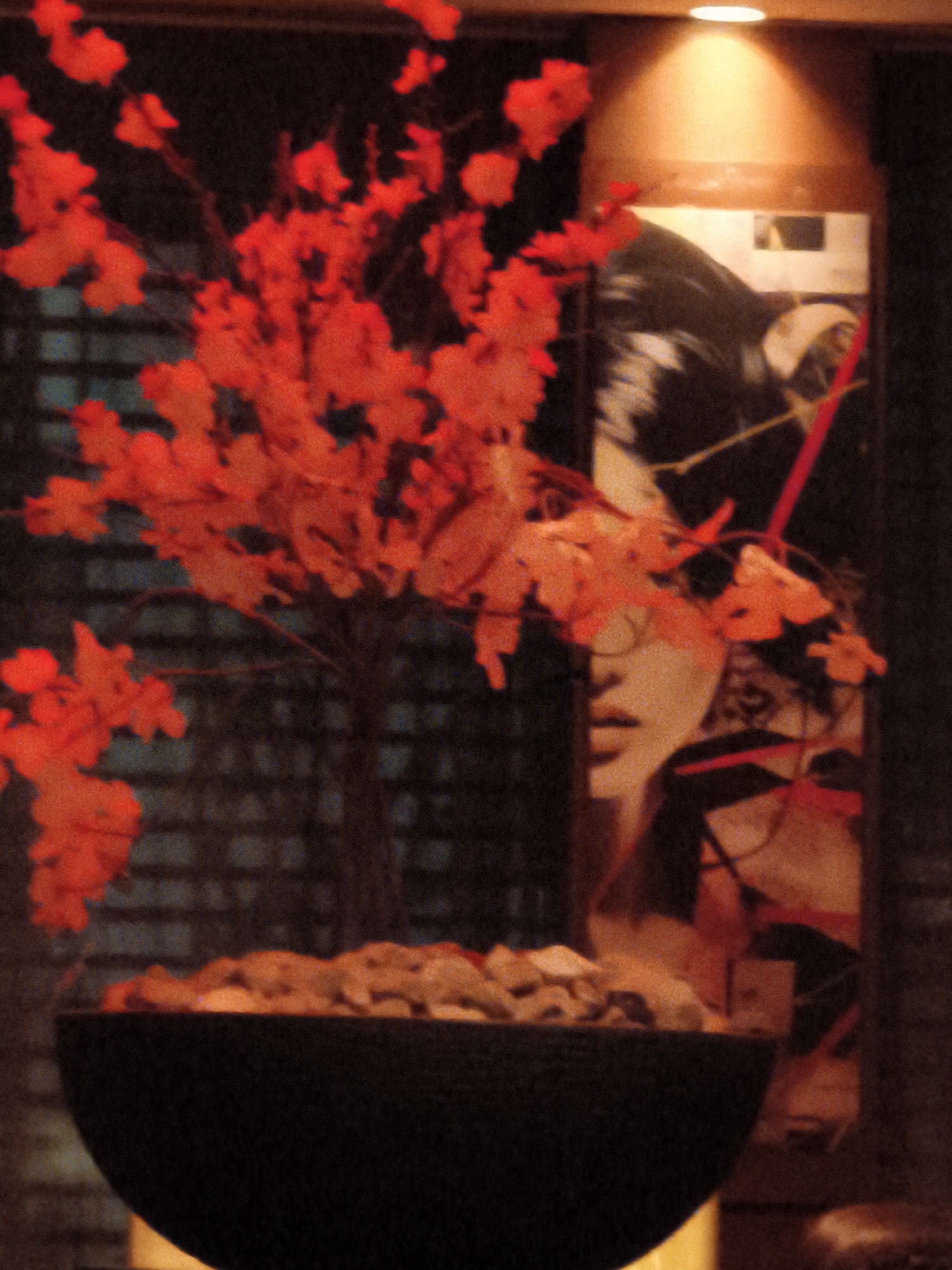 Sushi dinner at a moody bar-restaurant in Be'er Sheva