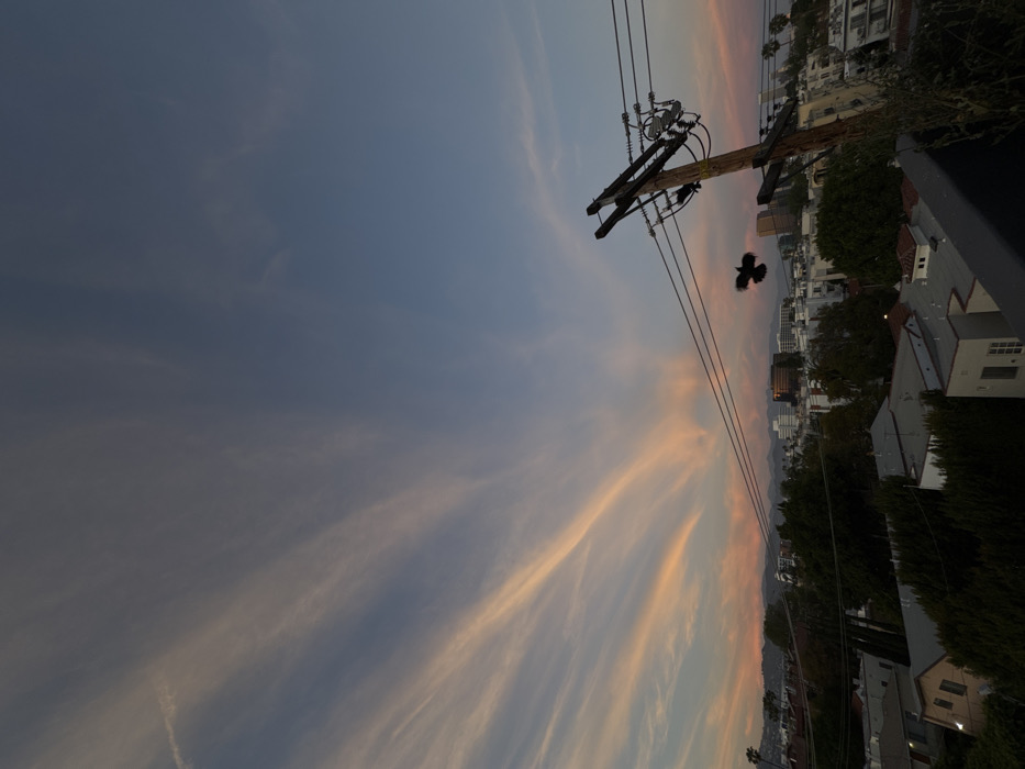 Twilight cityscape observed over Los Angeles from elevated position