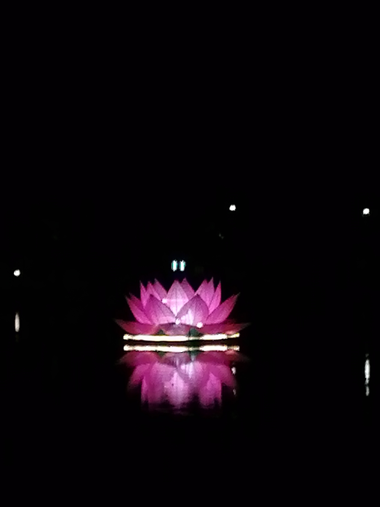 Nighttime lakeside scenes captured around illuminated lotus displays in Da Lat