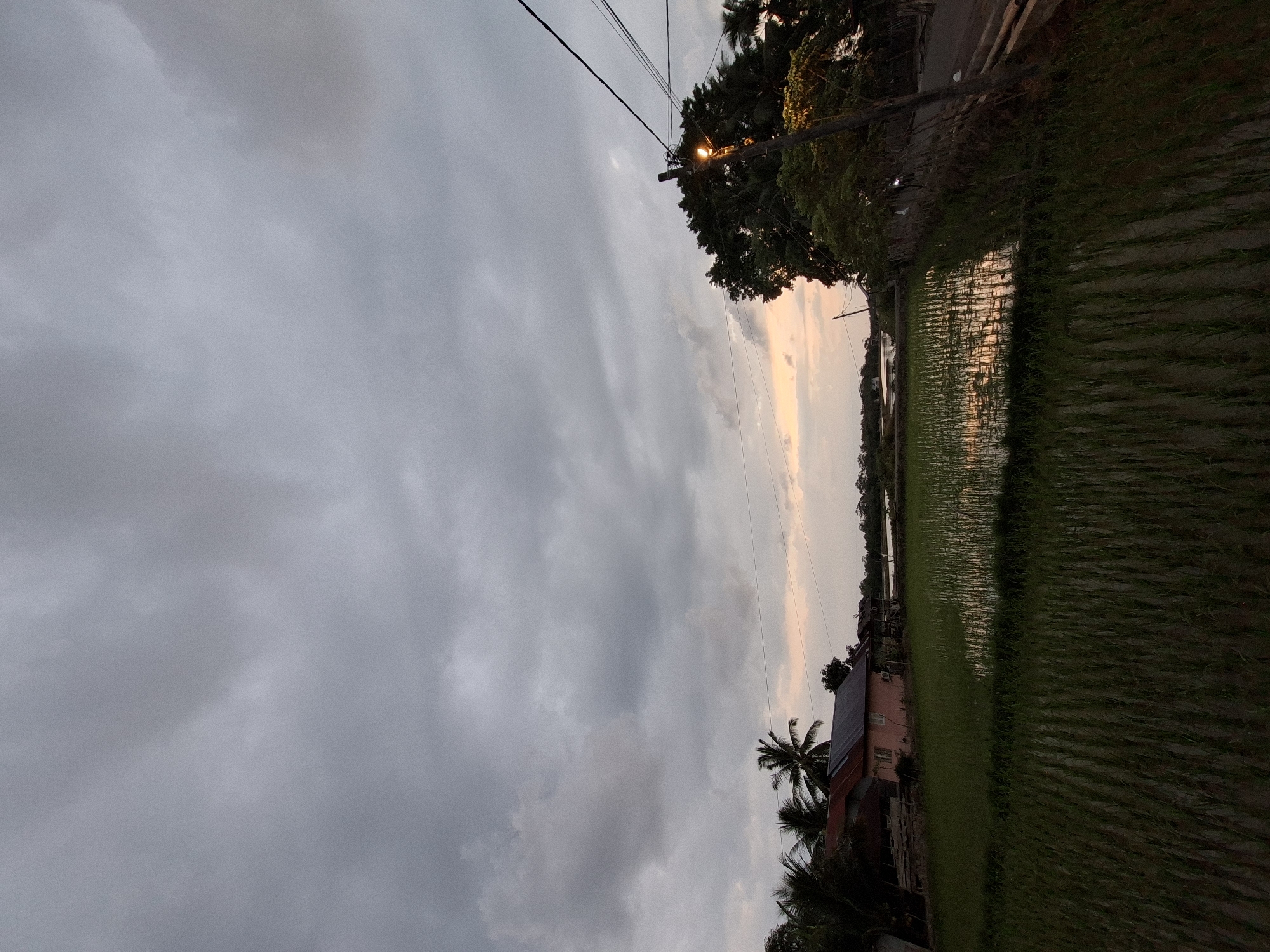 Rural Acehnese morning: paddies, prayer, and everyday life