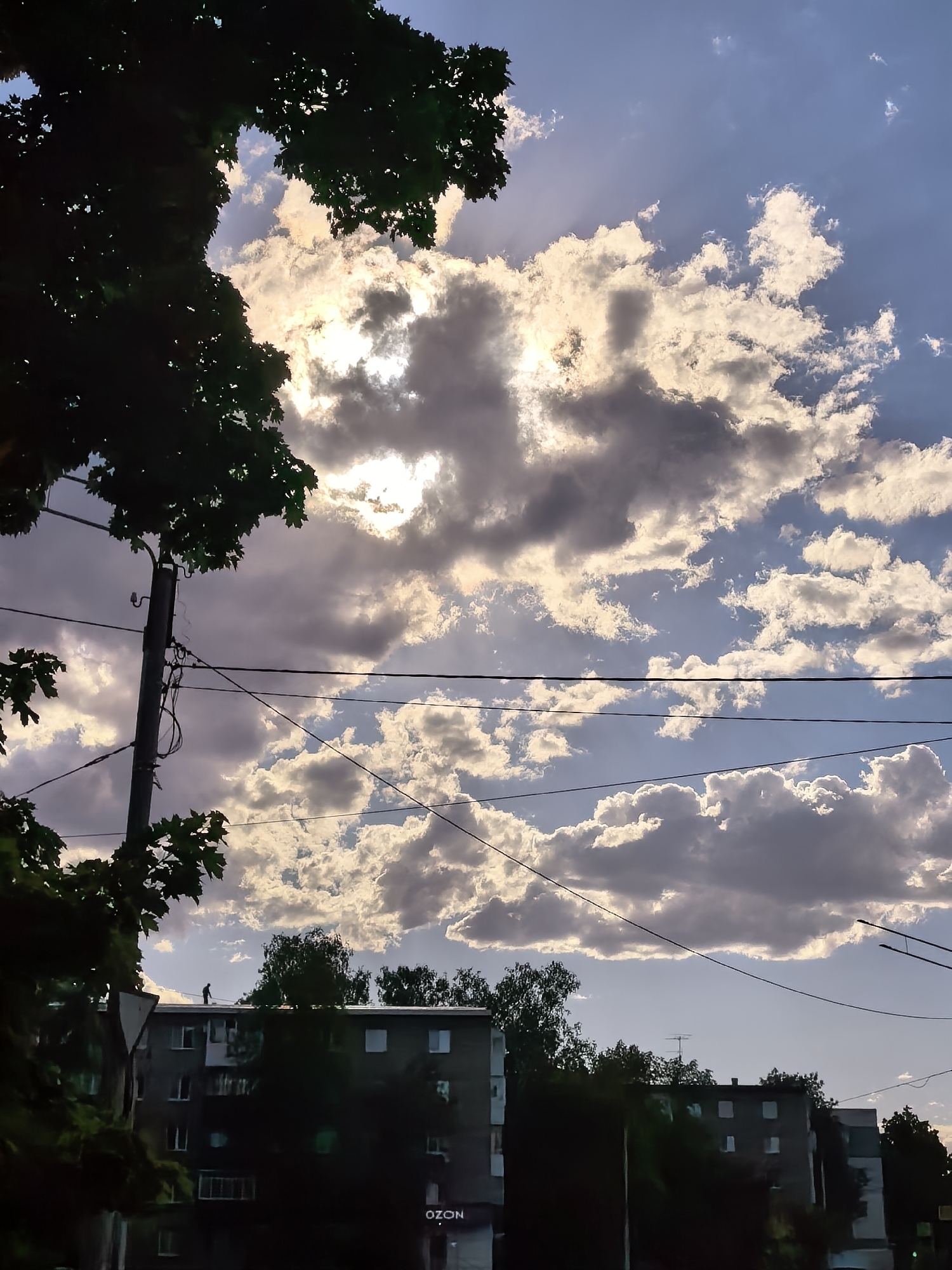 Woman photographs herself in Sterlitamak park during afternoon walk