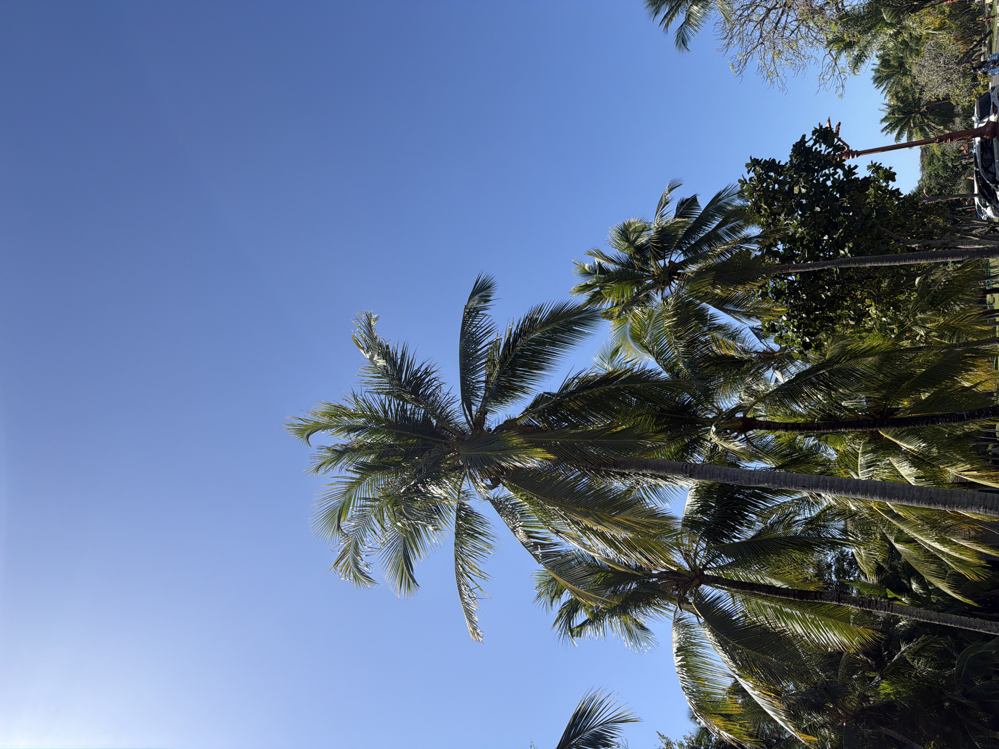 Sunny morning visit to M Spa in Kuta Selatan, Bali