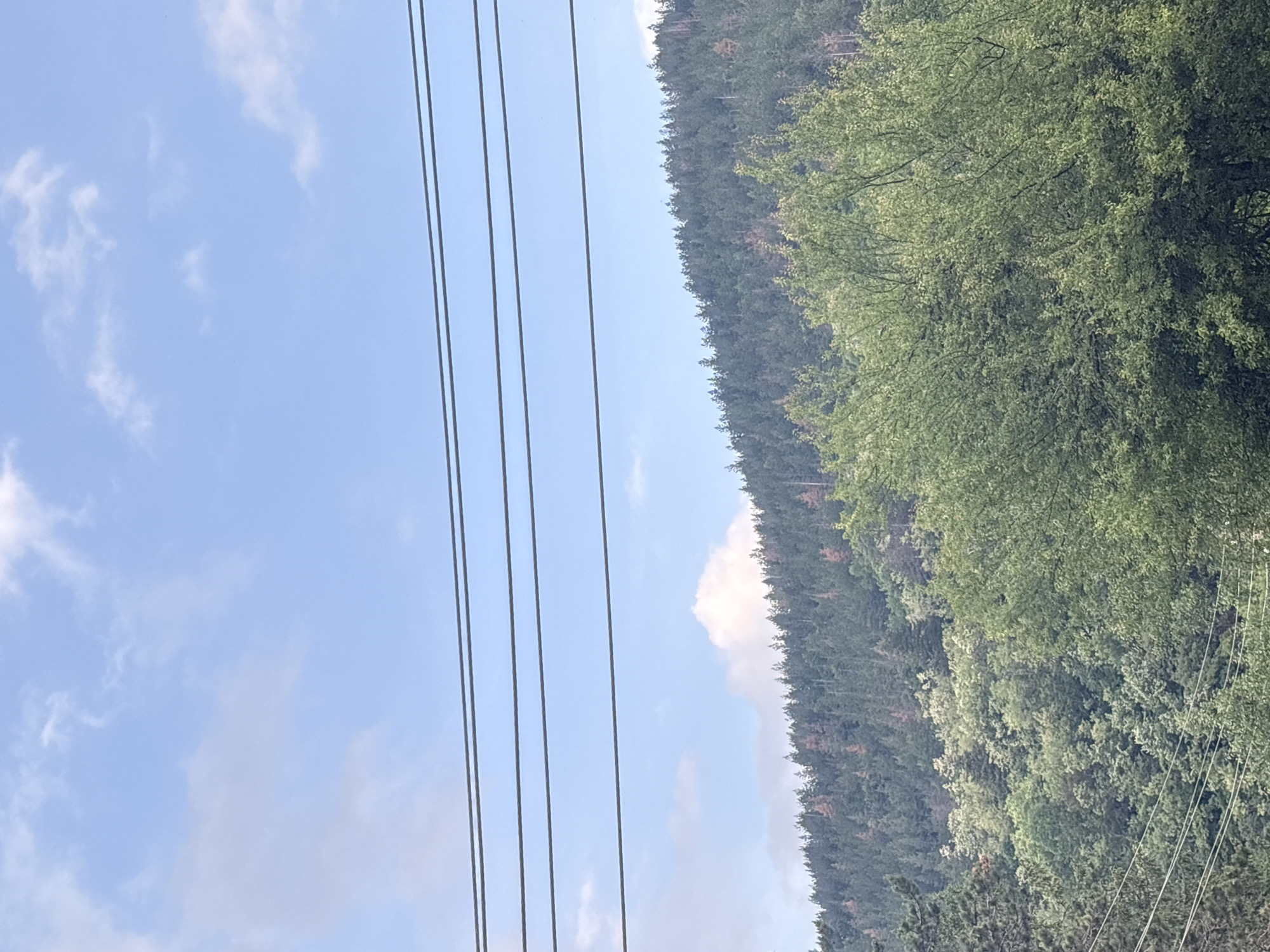 Unknown witness captures 16 rural landscape memories over 14 minutes