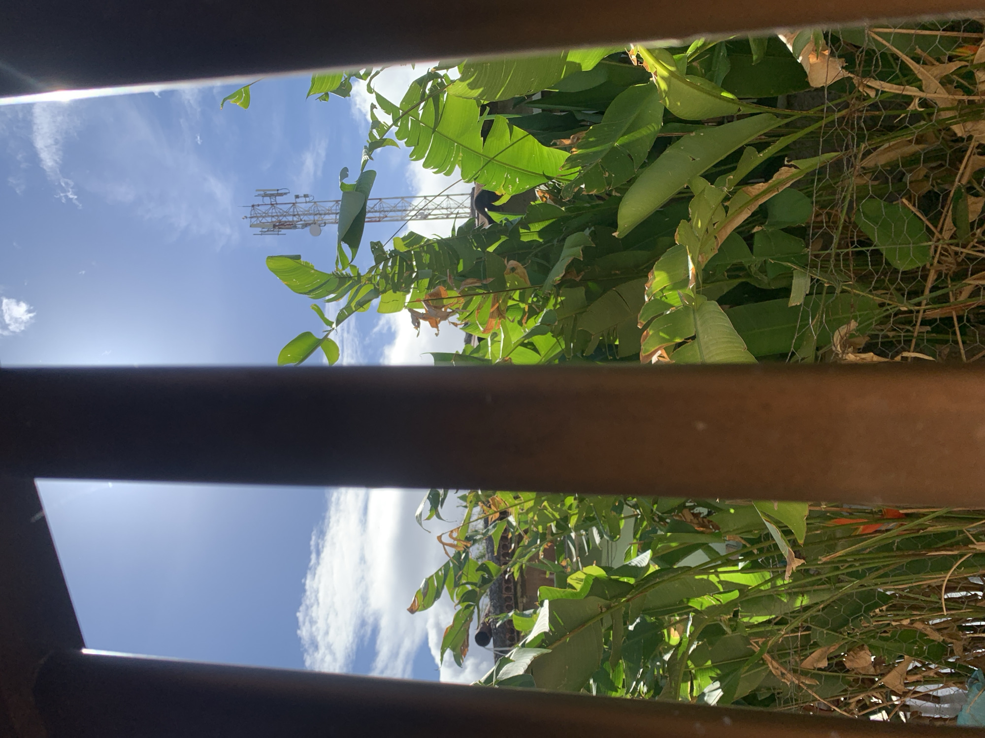 Window view captures Santa Ana landscape with communications tower