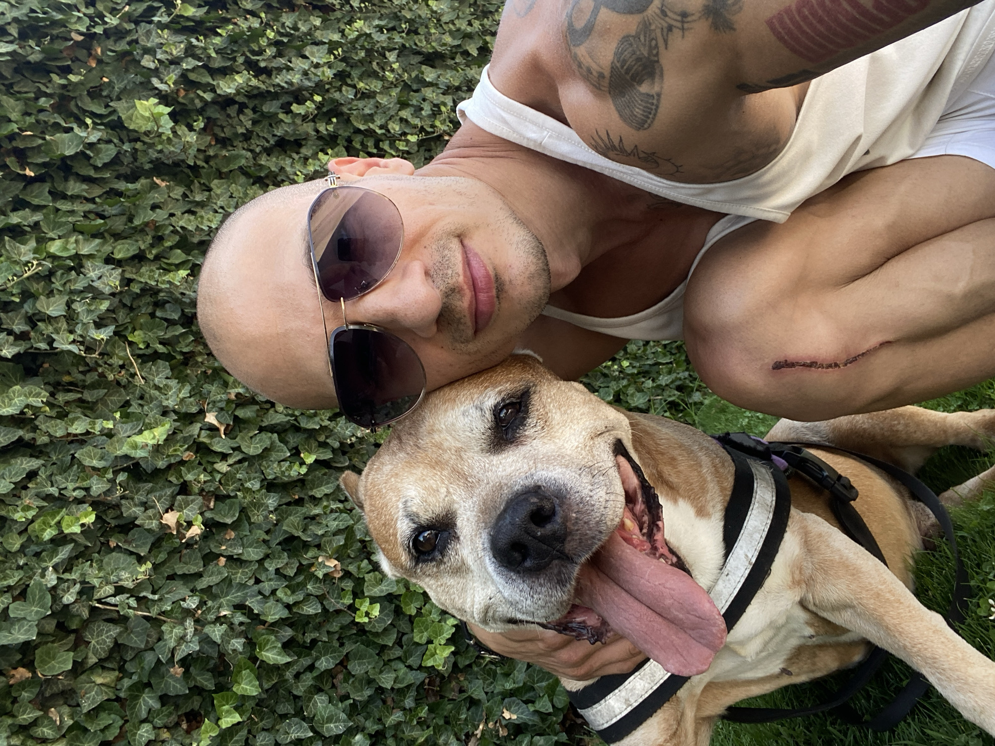 Sunny selfie with a dog against lush ivy in Pleven