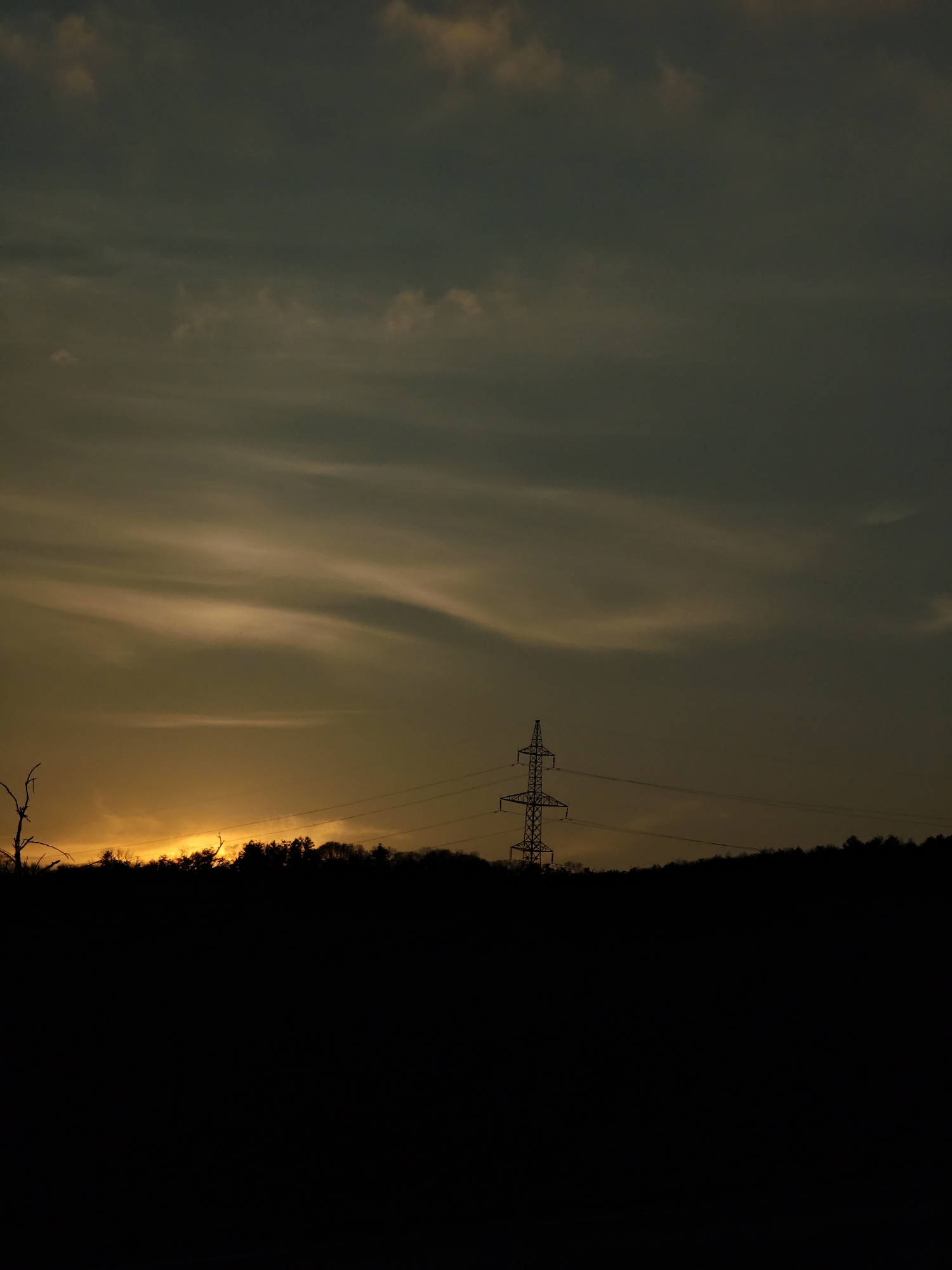 Sunset observed through silhouetted trees near Aksakovo, Bulgaria