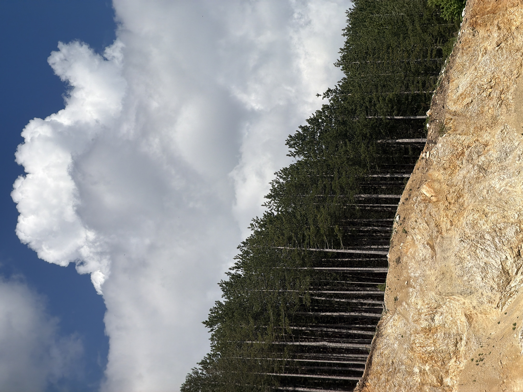 Rock face and dense trees observed in Otilovići, Montenegro