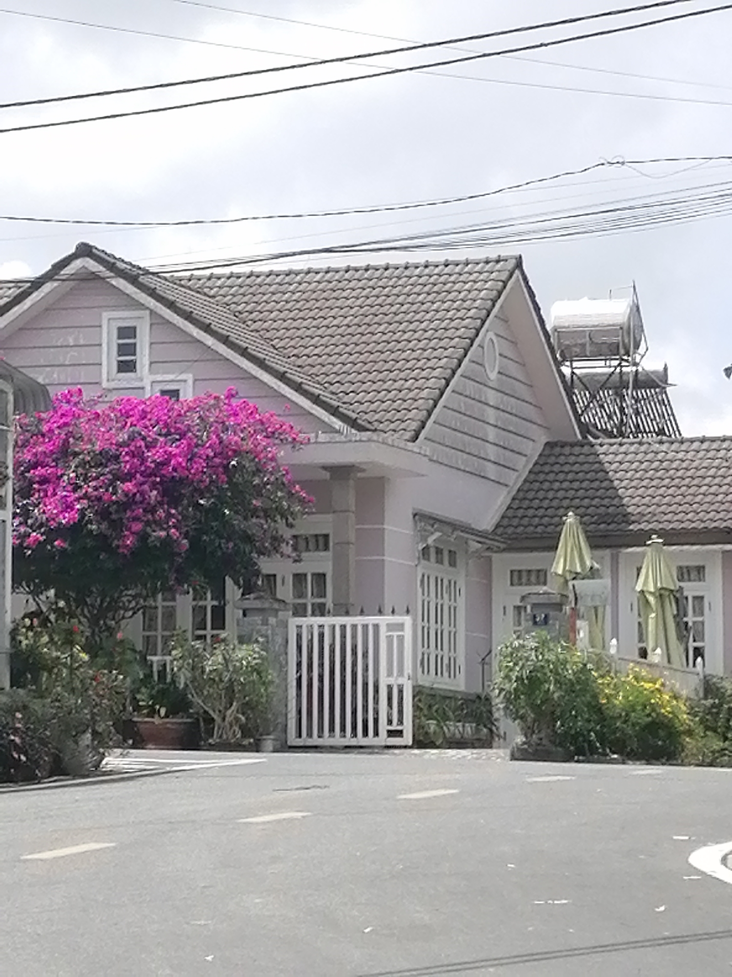 Da Lat streets, churches, and hillside architecture up close
