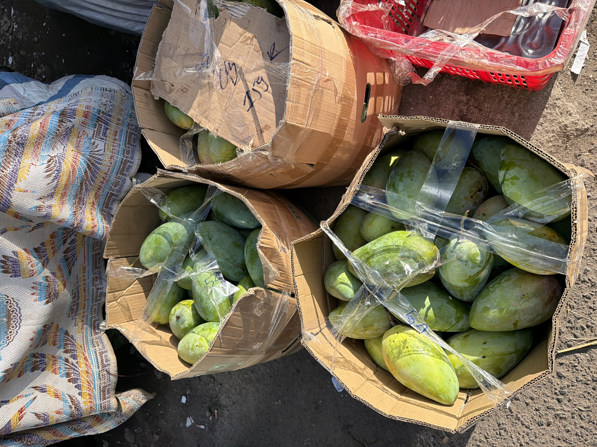 Street vendors and daily traffic along Nha Trang's busy roadside