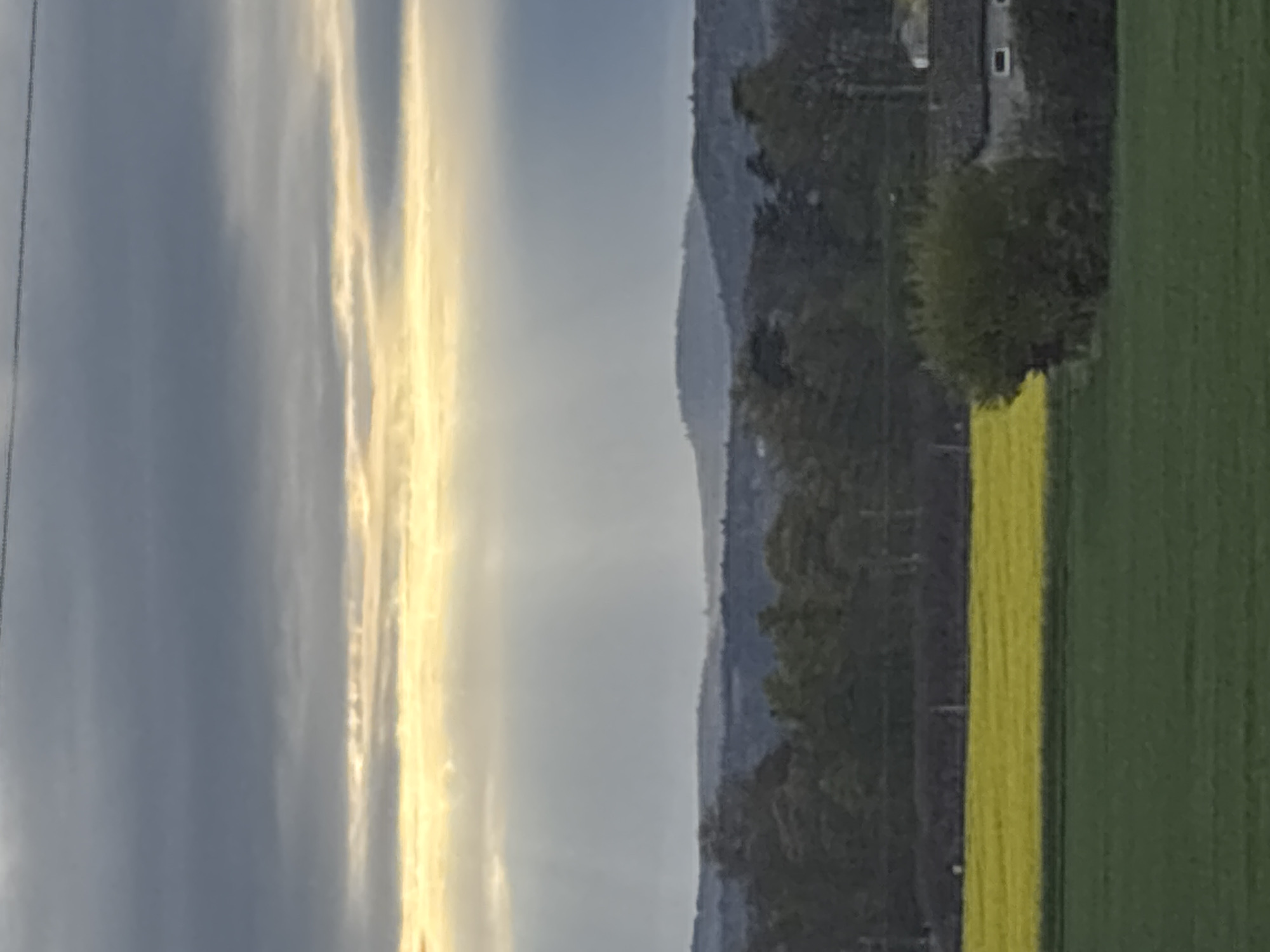 Sunlight breaks through clouds over flowering field in France