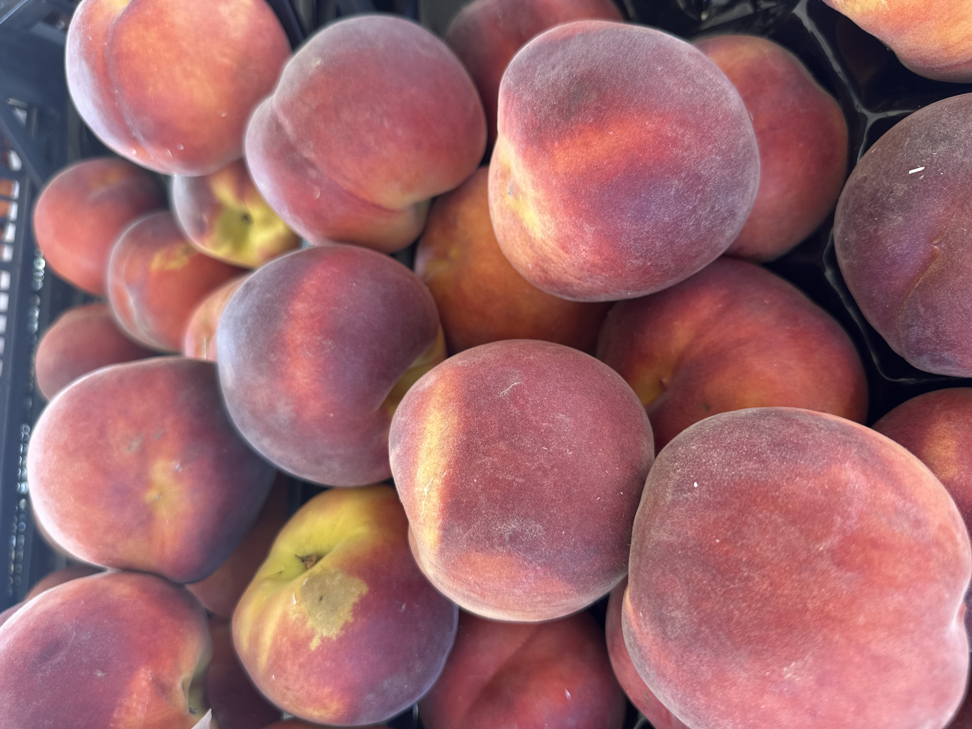 Ripe peaches piled up in Sardinia, vivid and close.